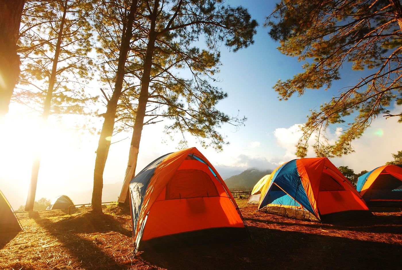 Tentes écotourisme Camping