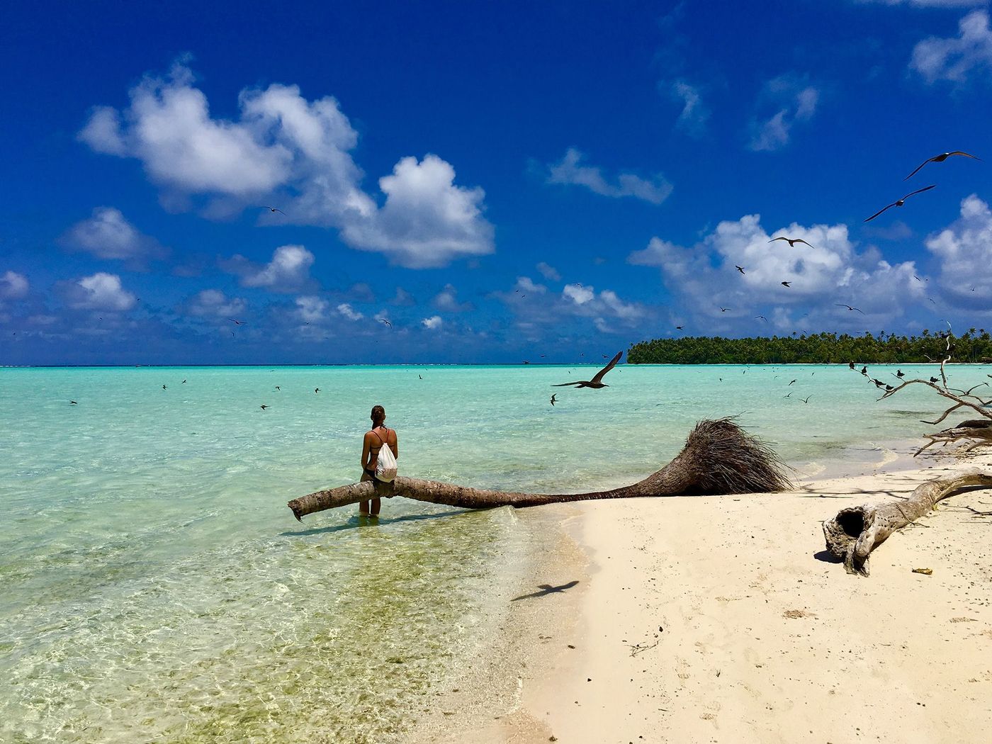 Tetiaroa Brando Atoll