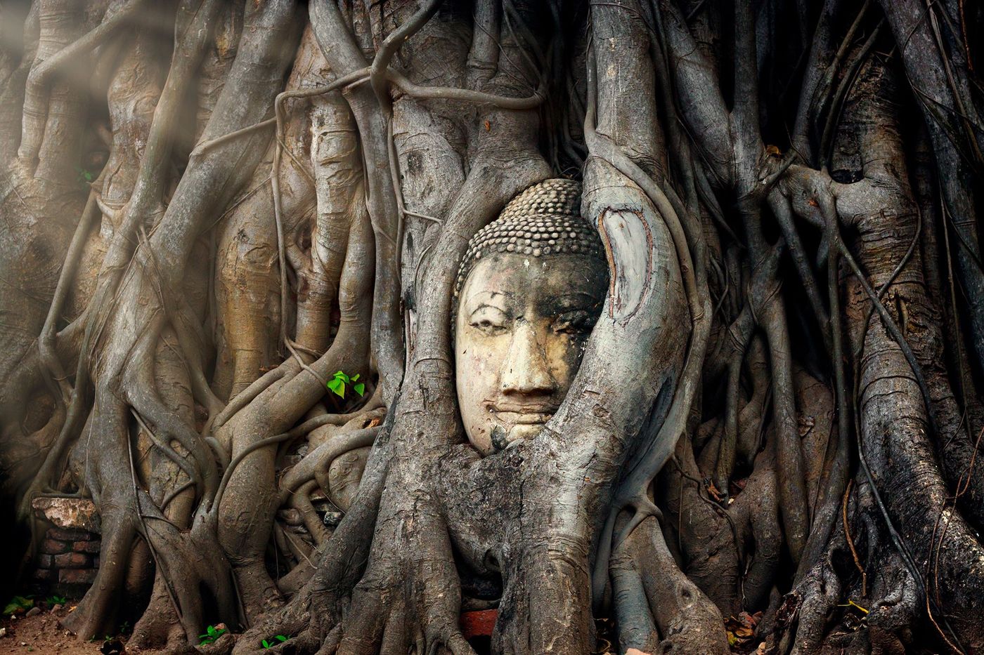 Thailande Ayutthaya