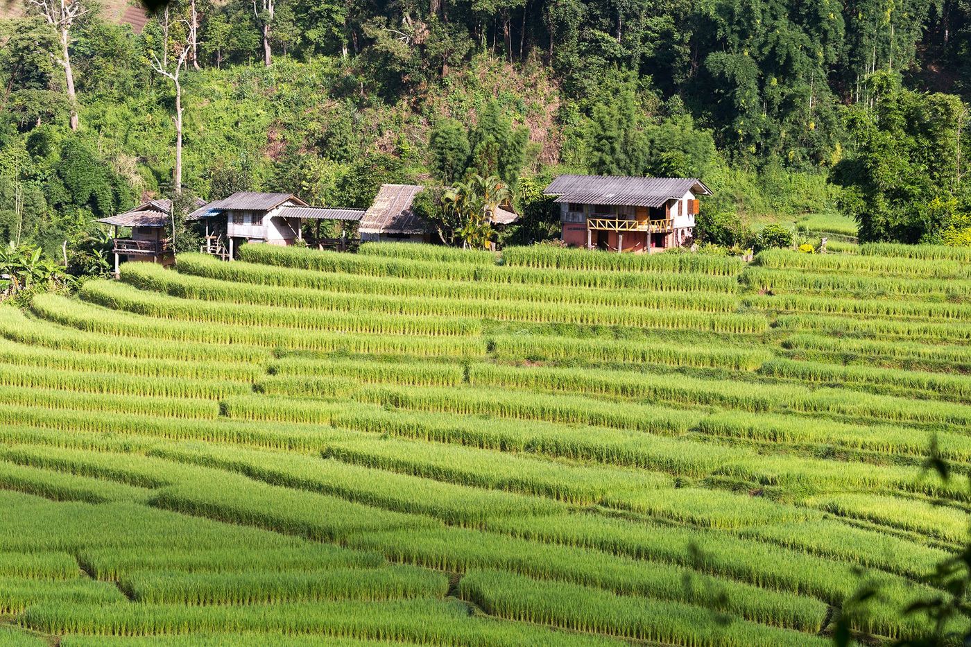 Thaïlande Ban Pha Mon