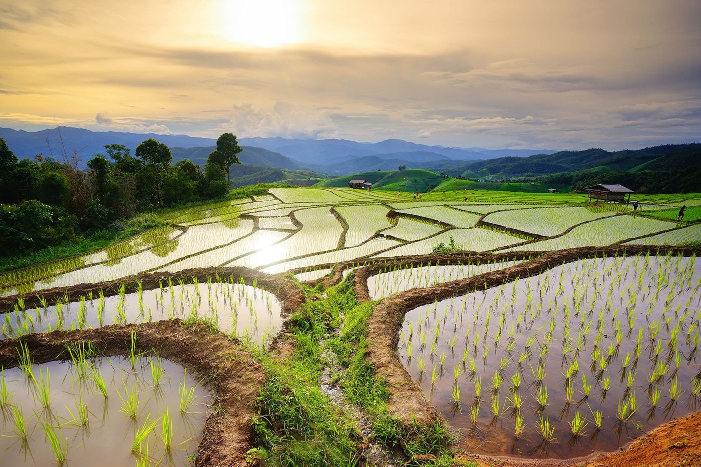 Thailande Chiang Mai