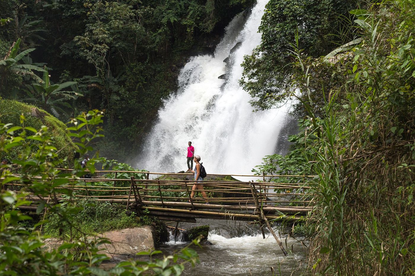Thailande Doi Inthanon Pha Dok Siew Trail