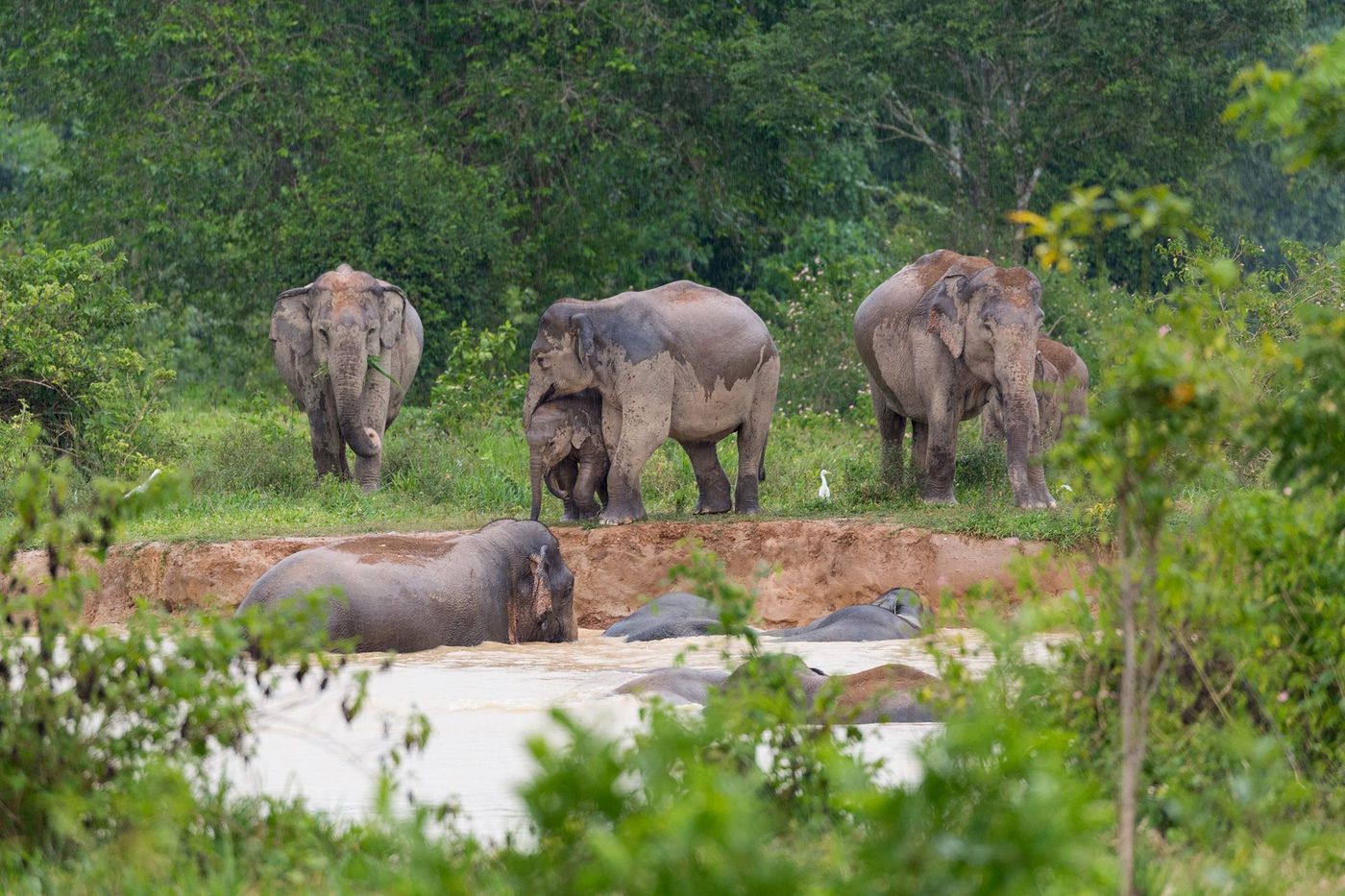 Thaïlande Kuiburi National Park
