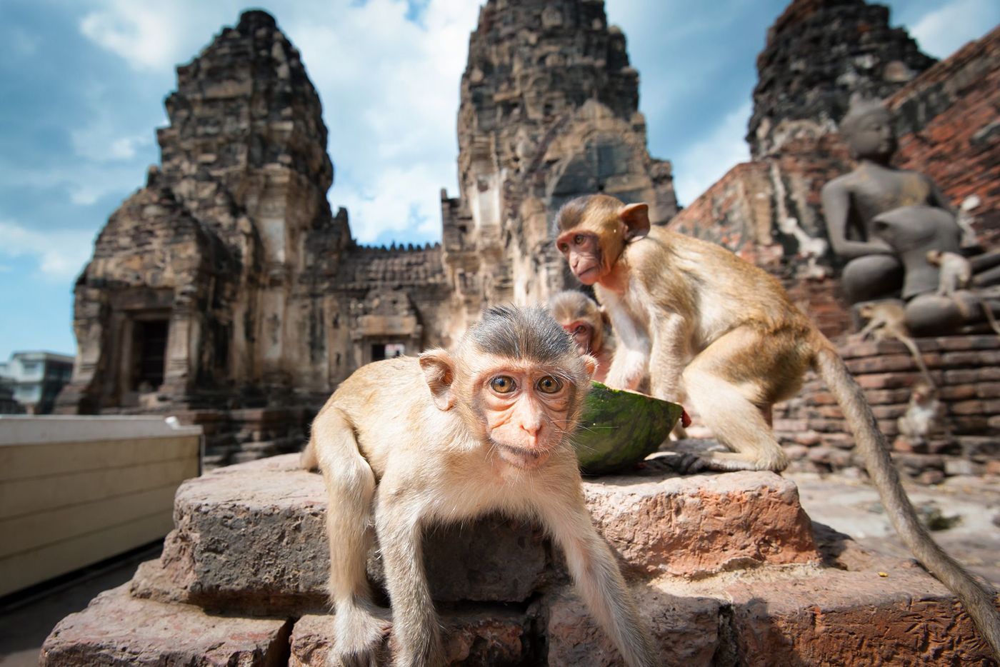 Thailande Lopburi