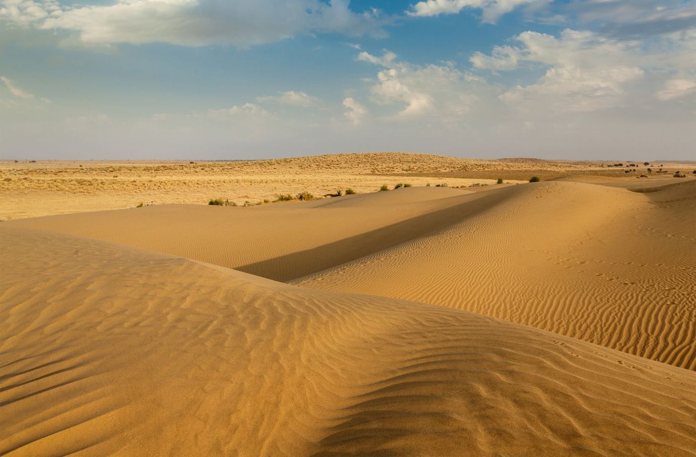 Inde Rajasthan Désert du Thar