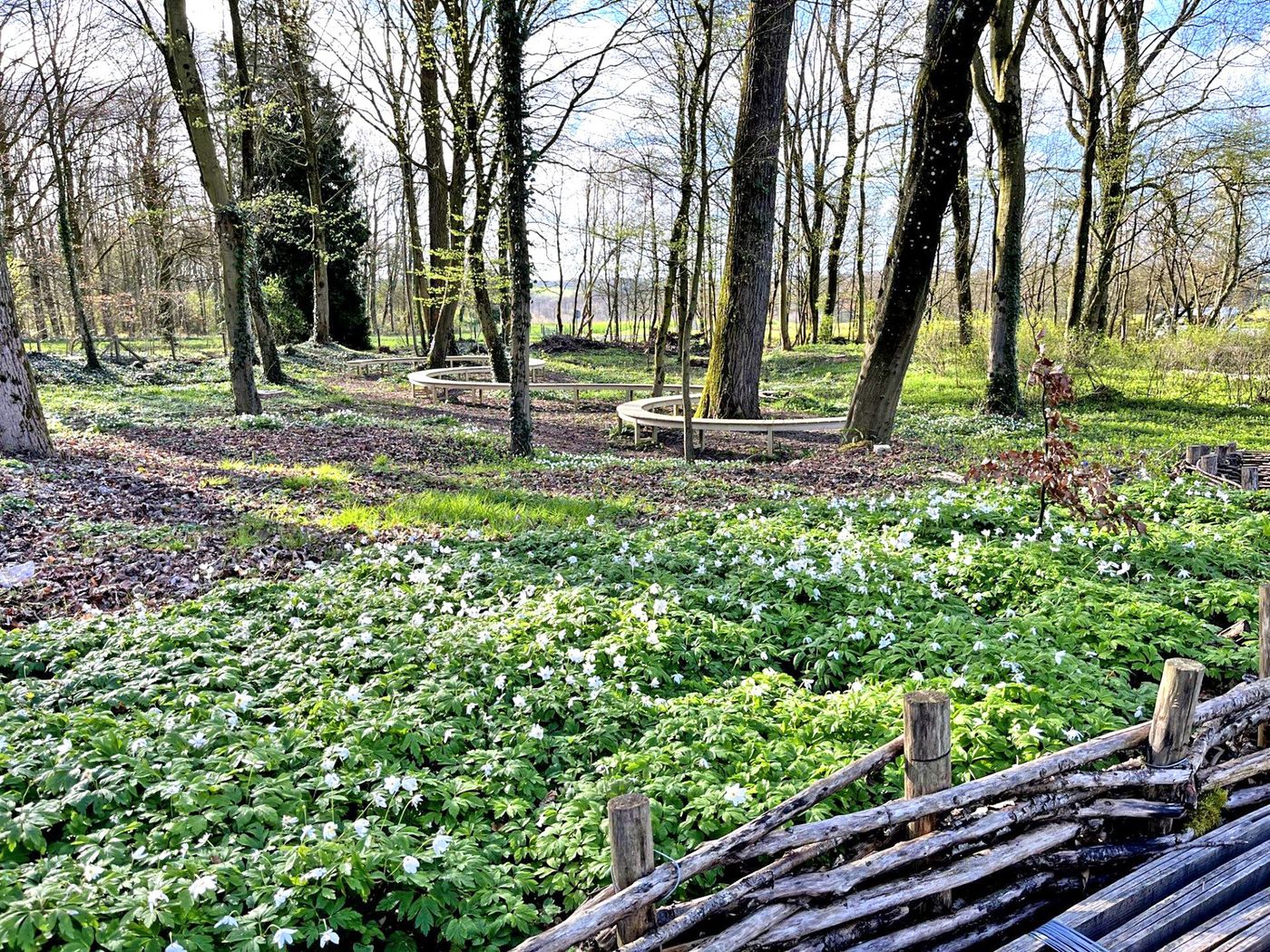Thiepval - jardin Trwy goetir yn ysgafn