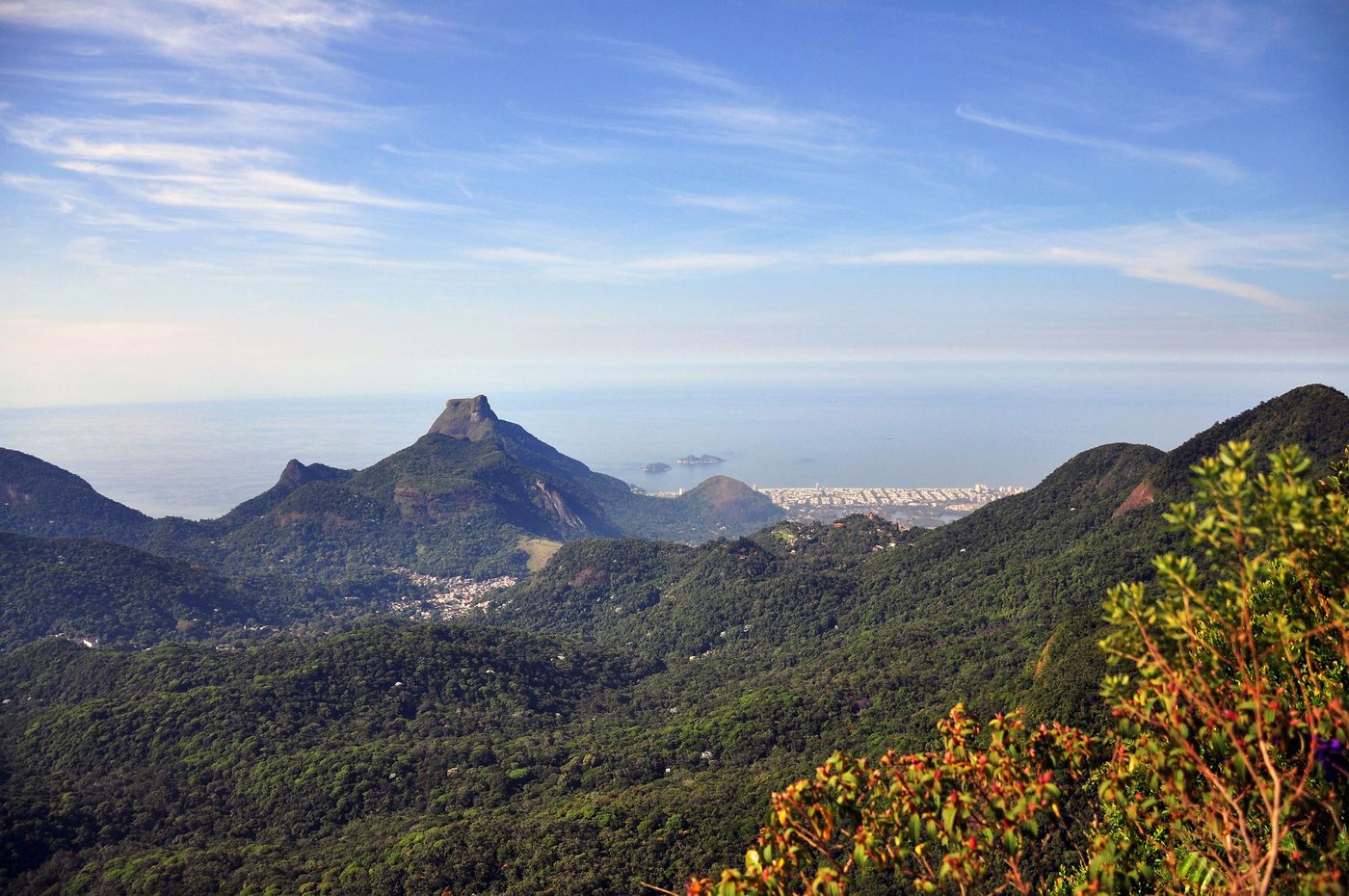 Brésil Rio de Janeiro Floresta da Tijuca