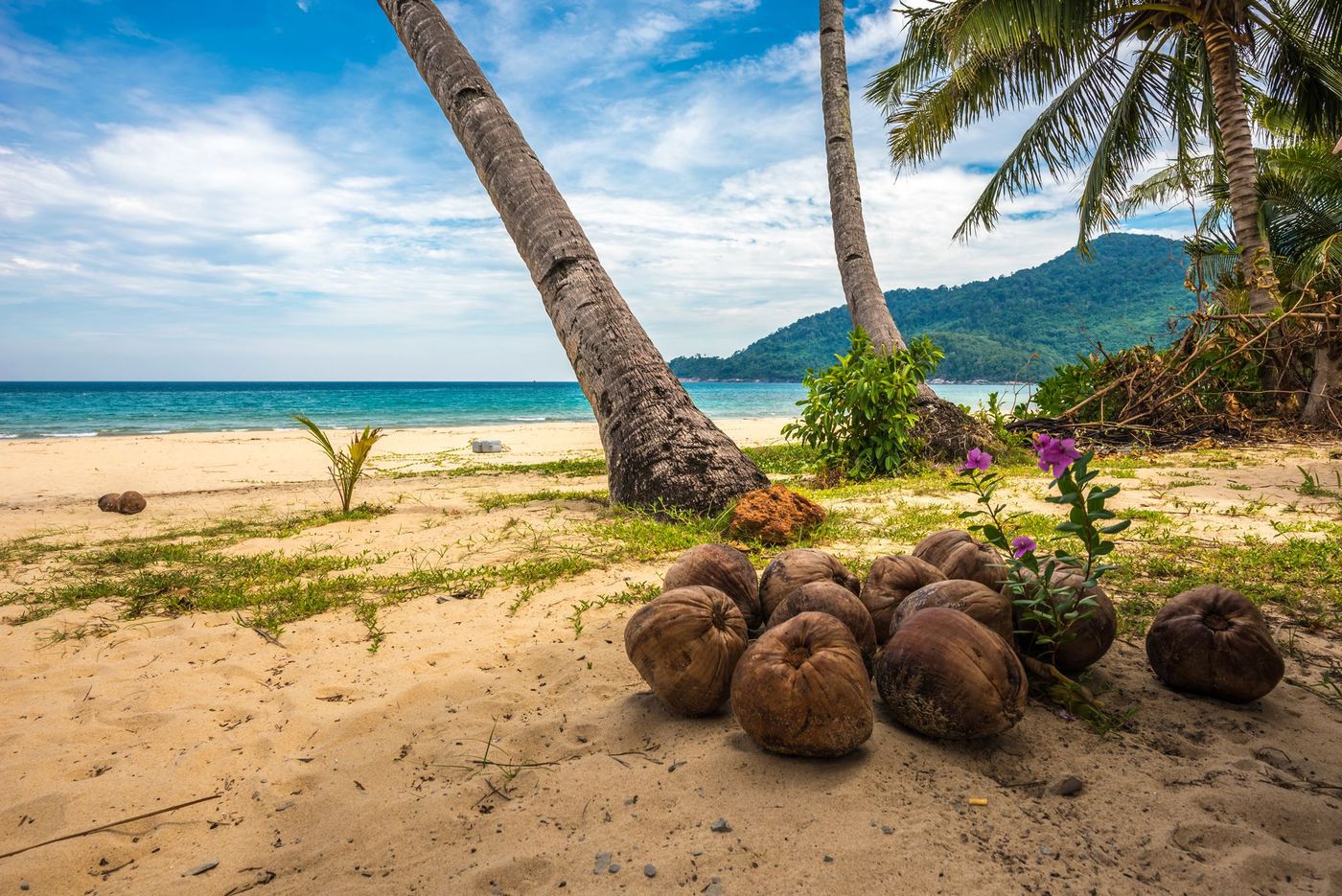 Tioman Ile Malaisie