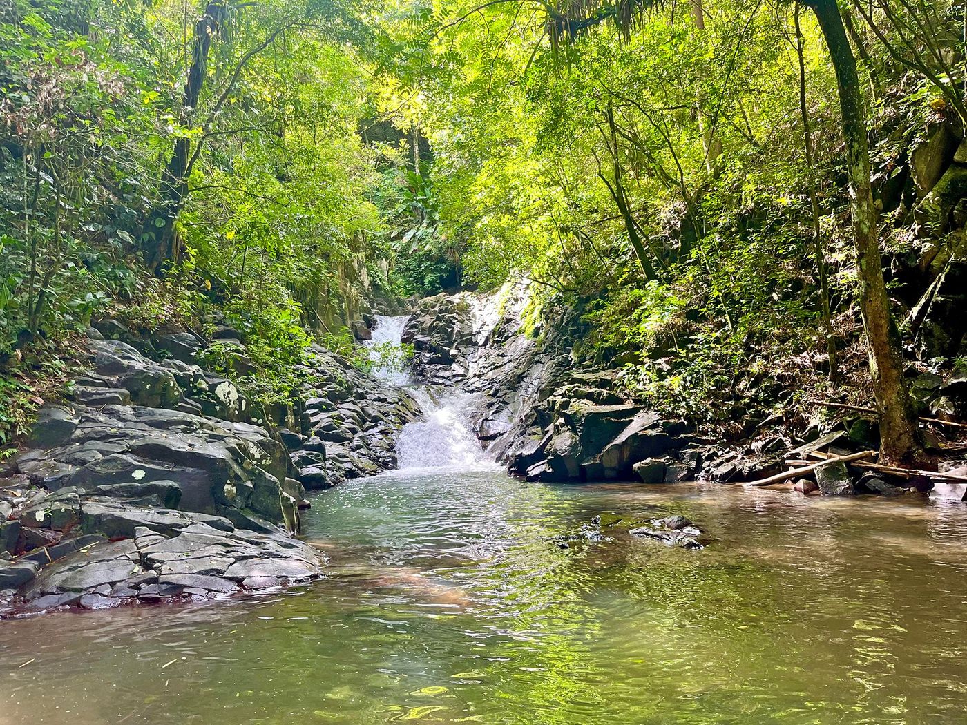 Toboggan de la cascade du Carbet