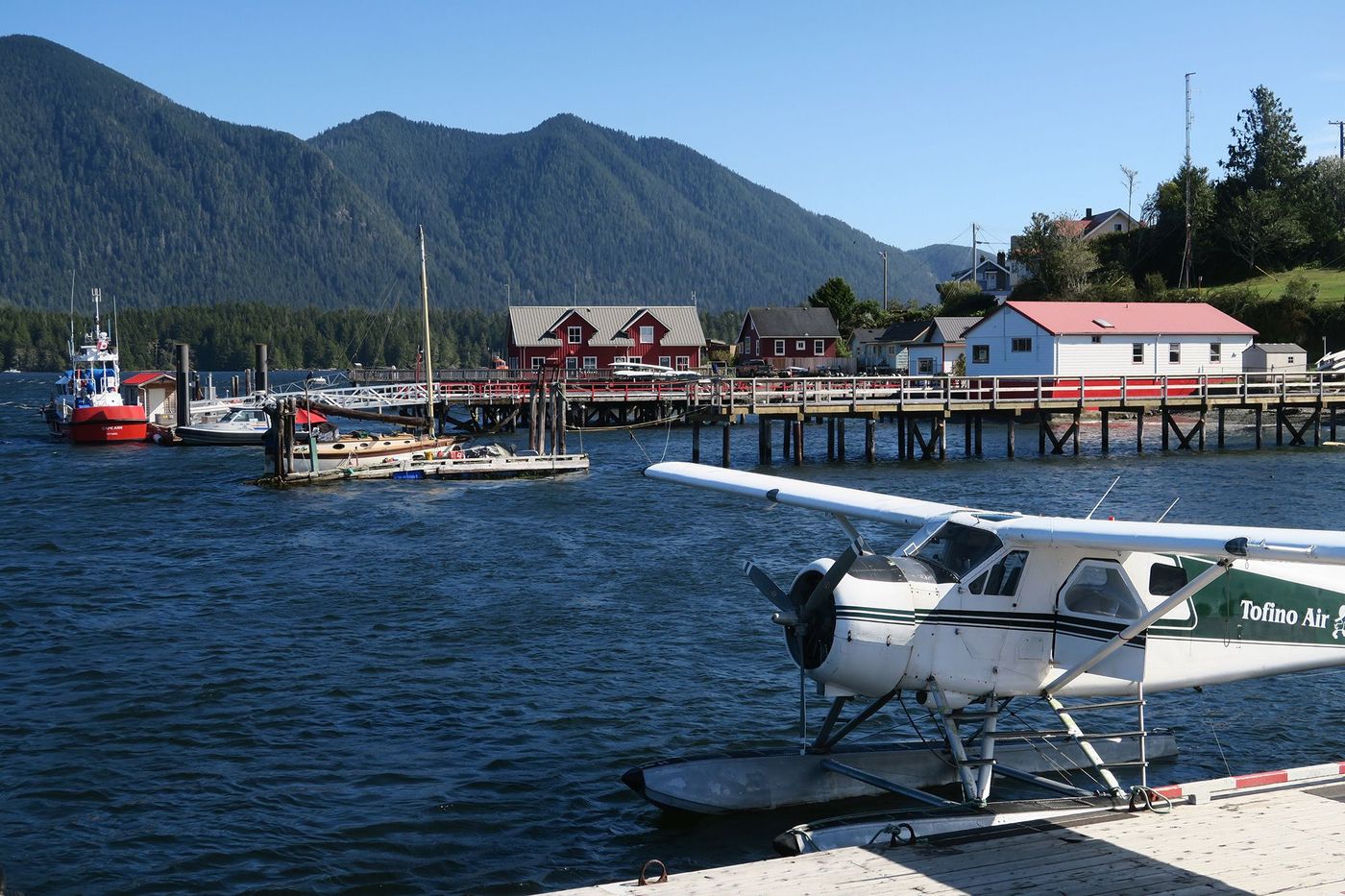 Tofino