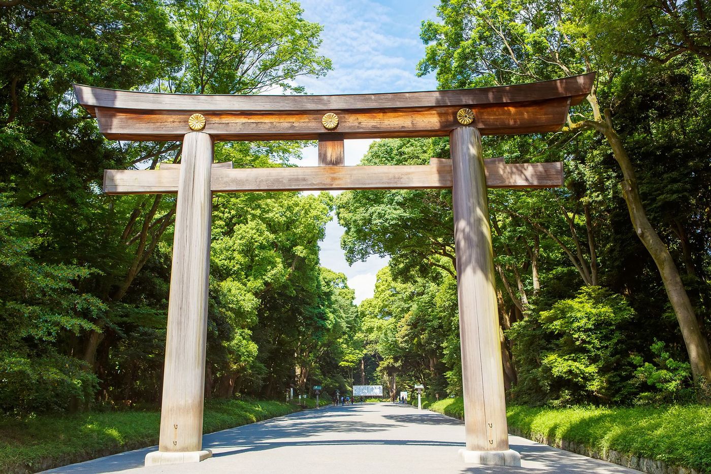 Tokyo Parc Yoyogi Otori