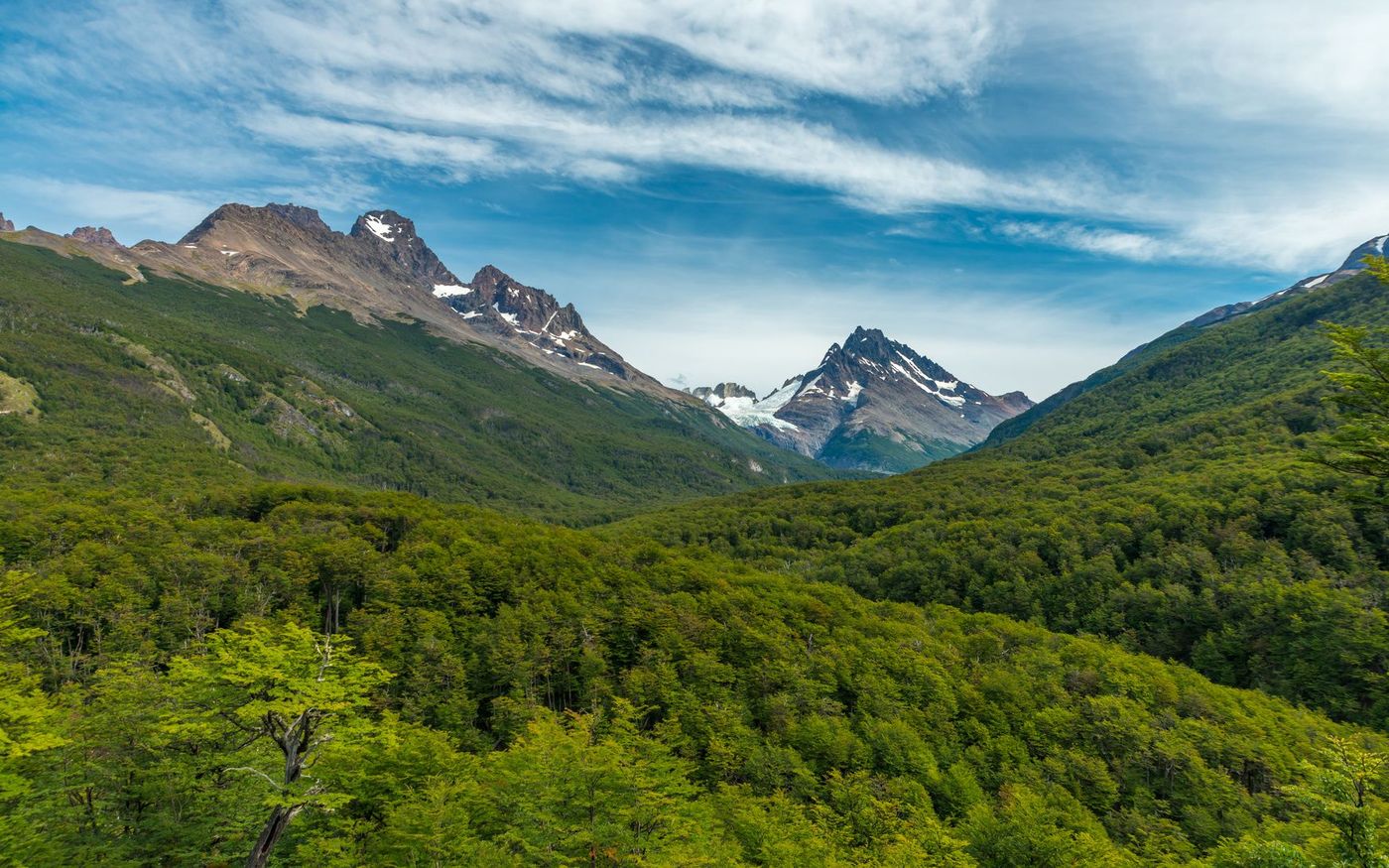 Chili Parc Torres del Paine