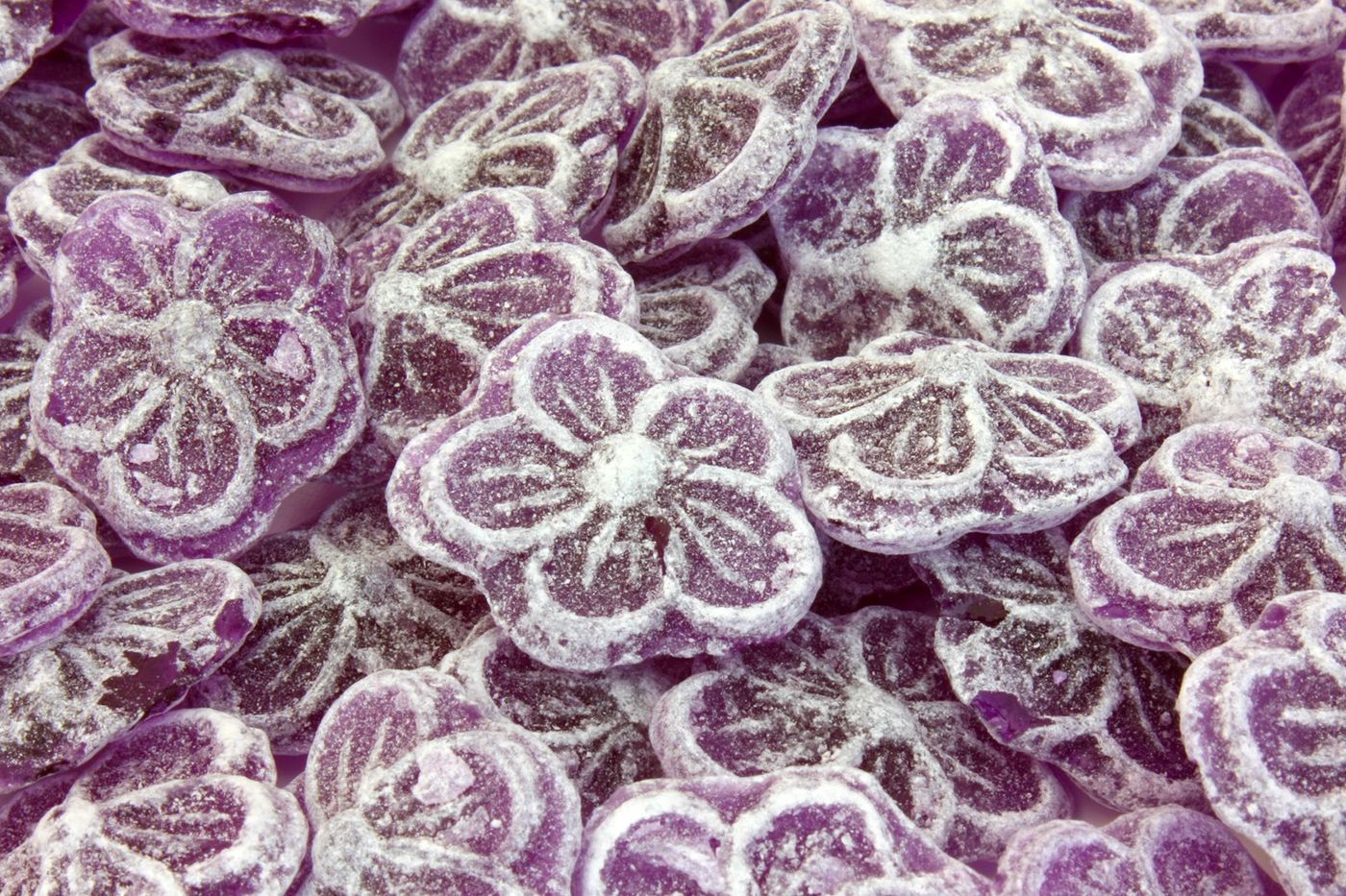 Toulouse bonbons violette