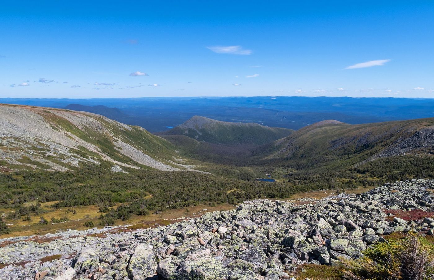 Toundra du mont Jacques Cartier
