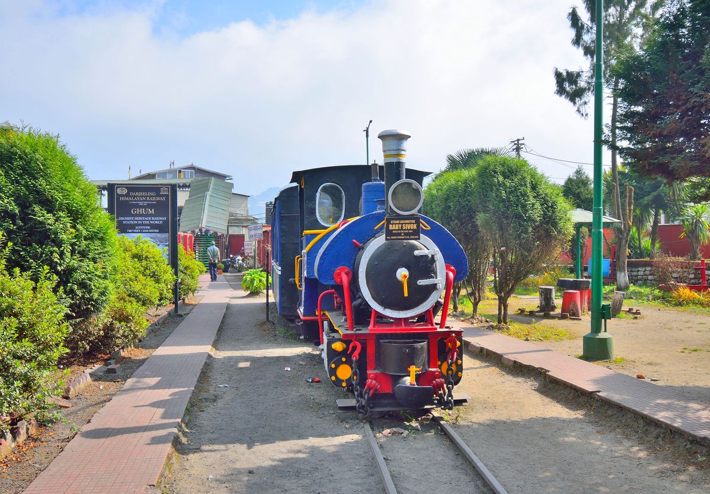 Toy Train - Darjeeling
