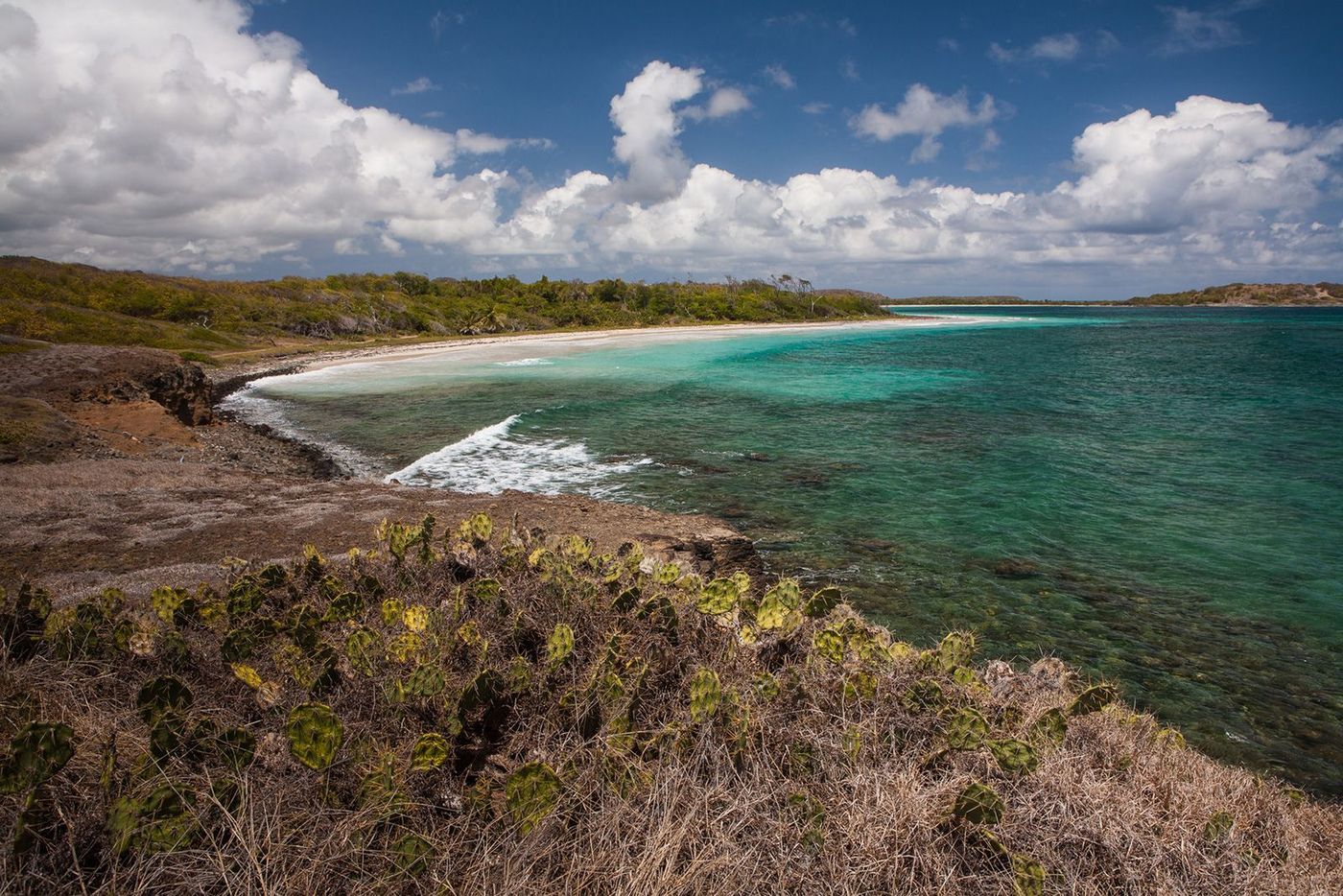 Martinique Anse Trabaud