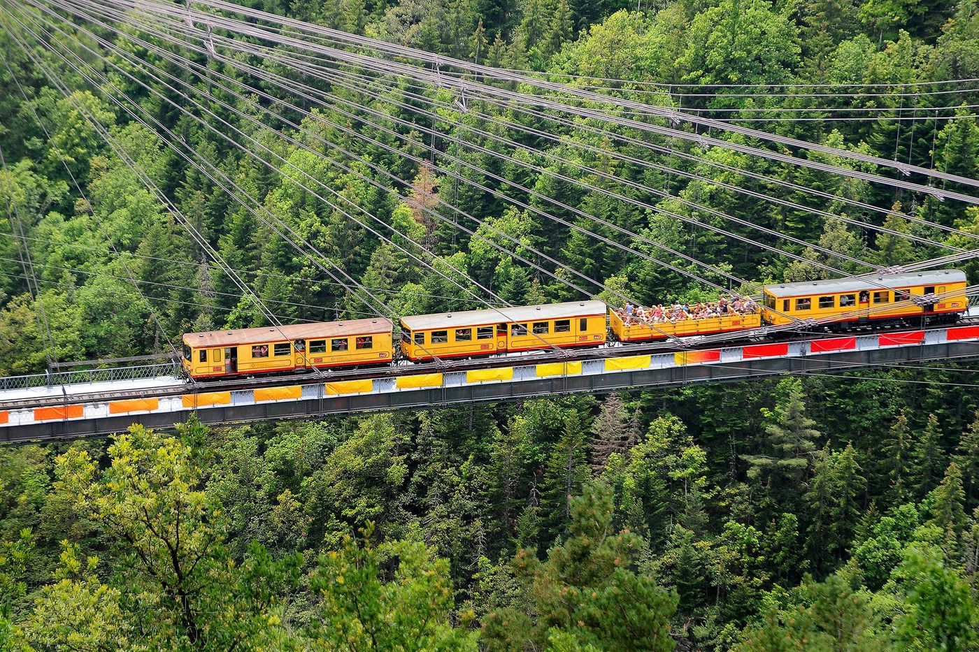 Train jaune