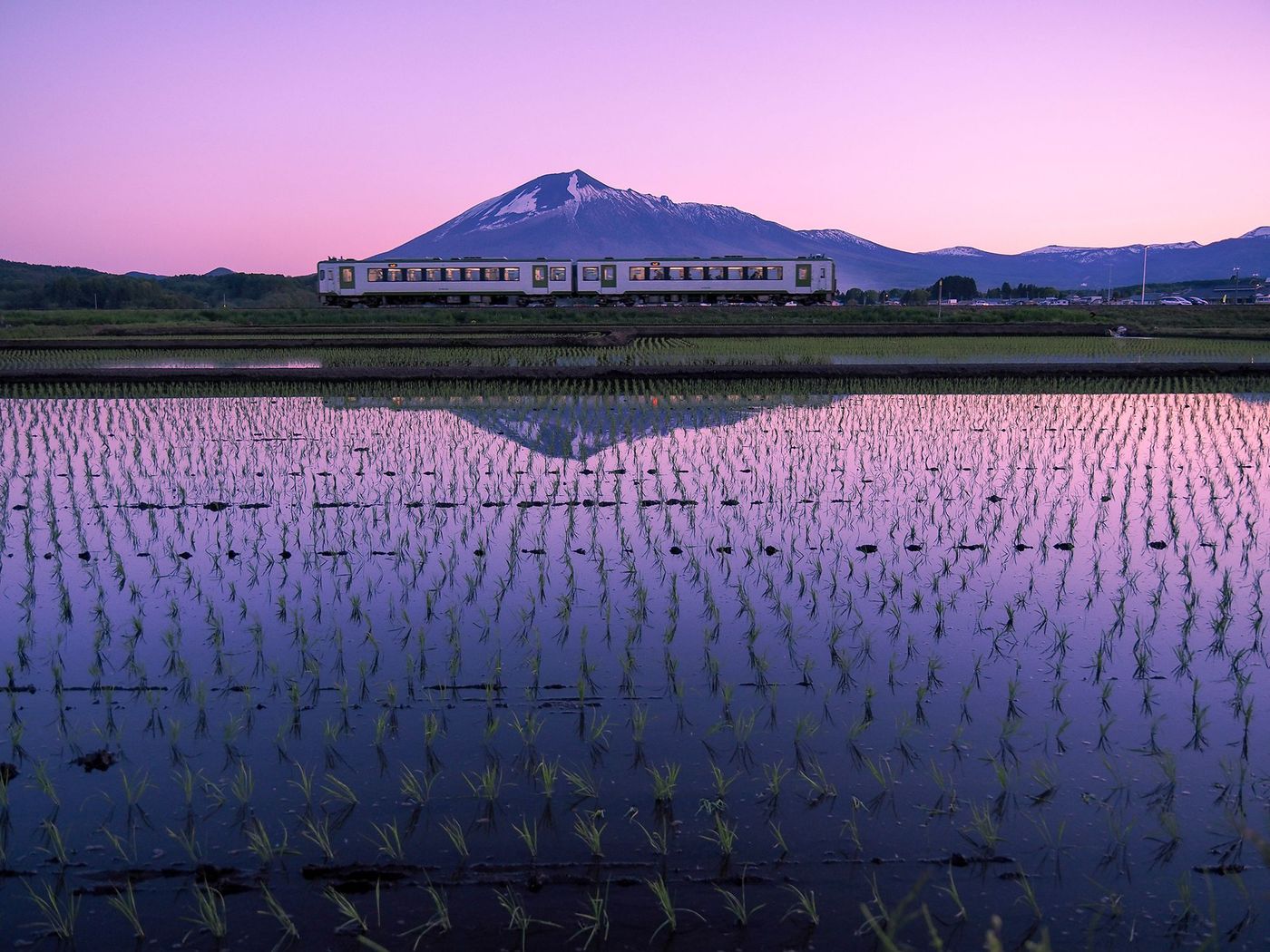 Train local, rizière et Mont Iwate