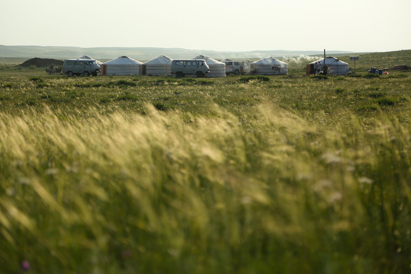 Mongolie Steppe