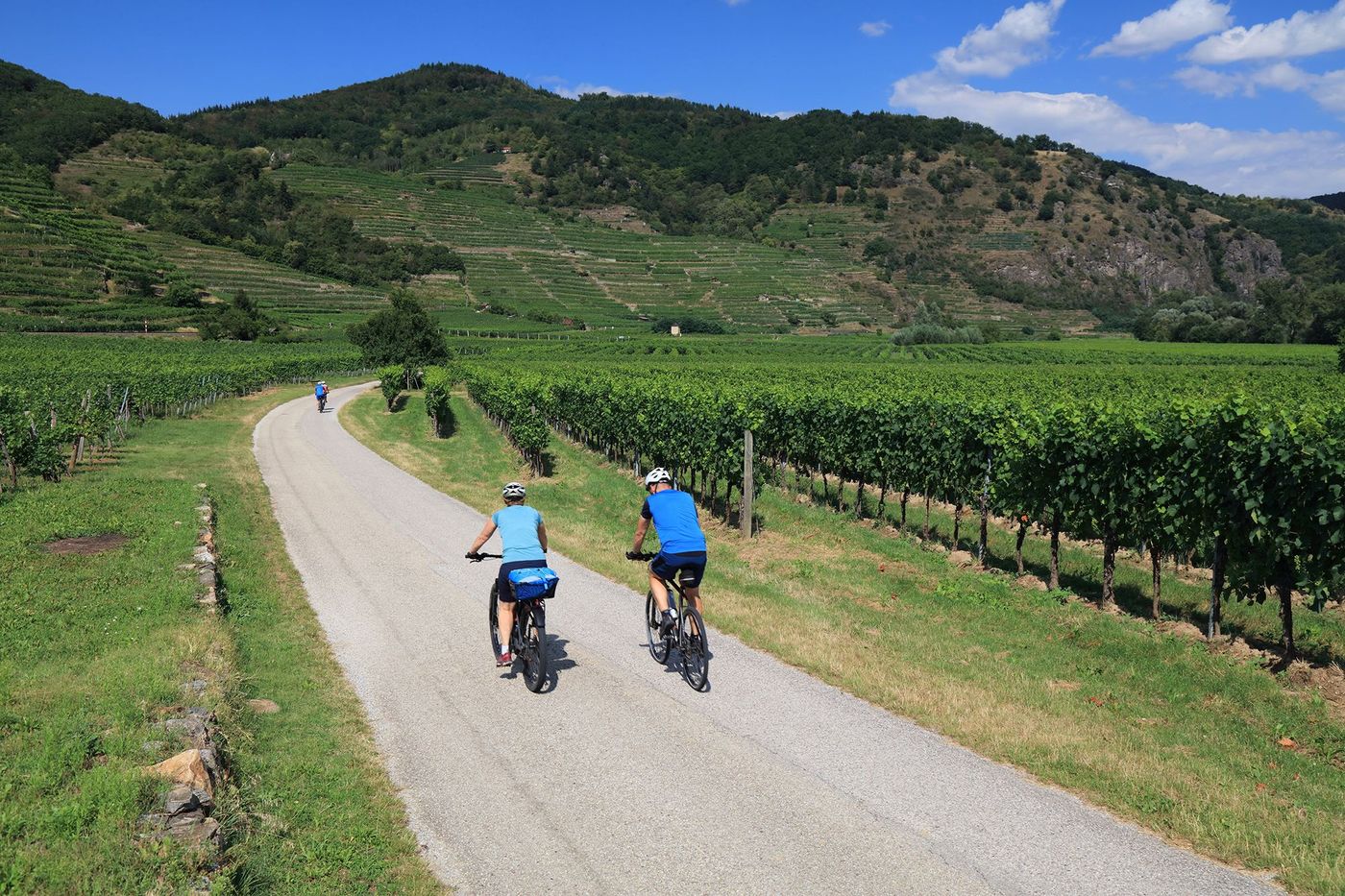 Vignobles de la vallée de la Wachau