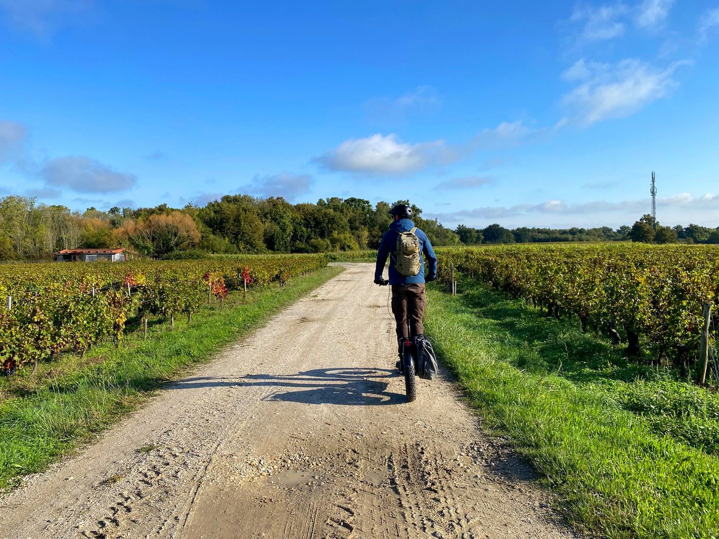 Trott ‘In Médoc
