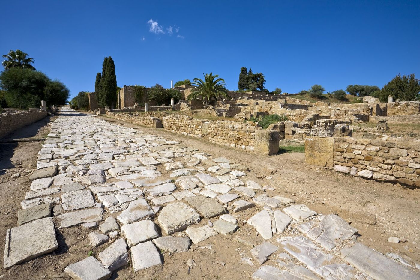 Tunisie Carthage