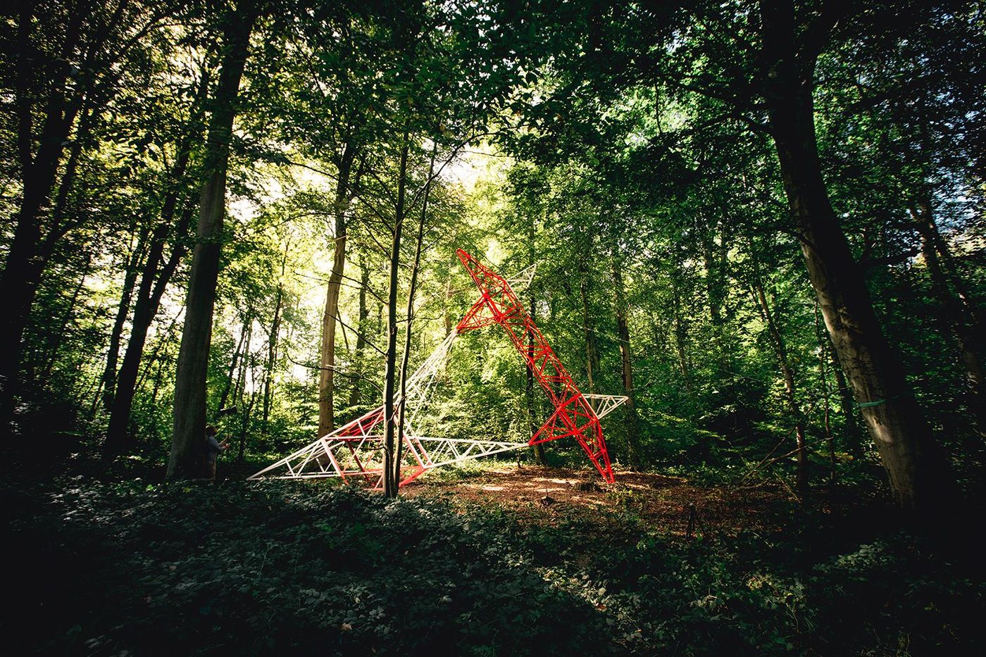 Forêt monumentale Undercurrent