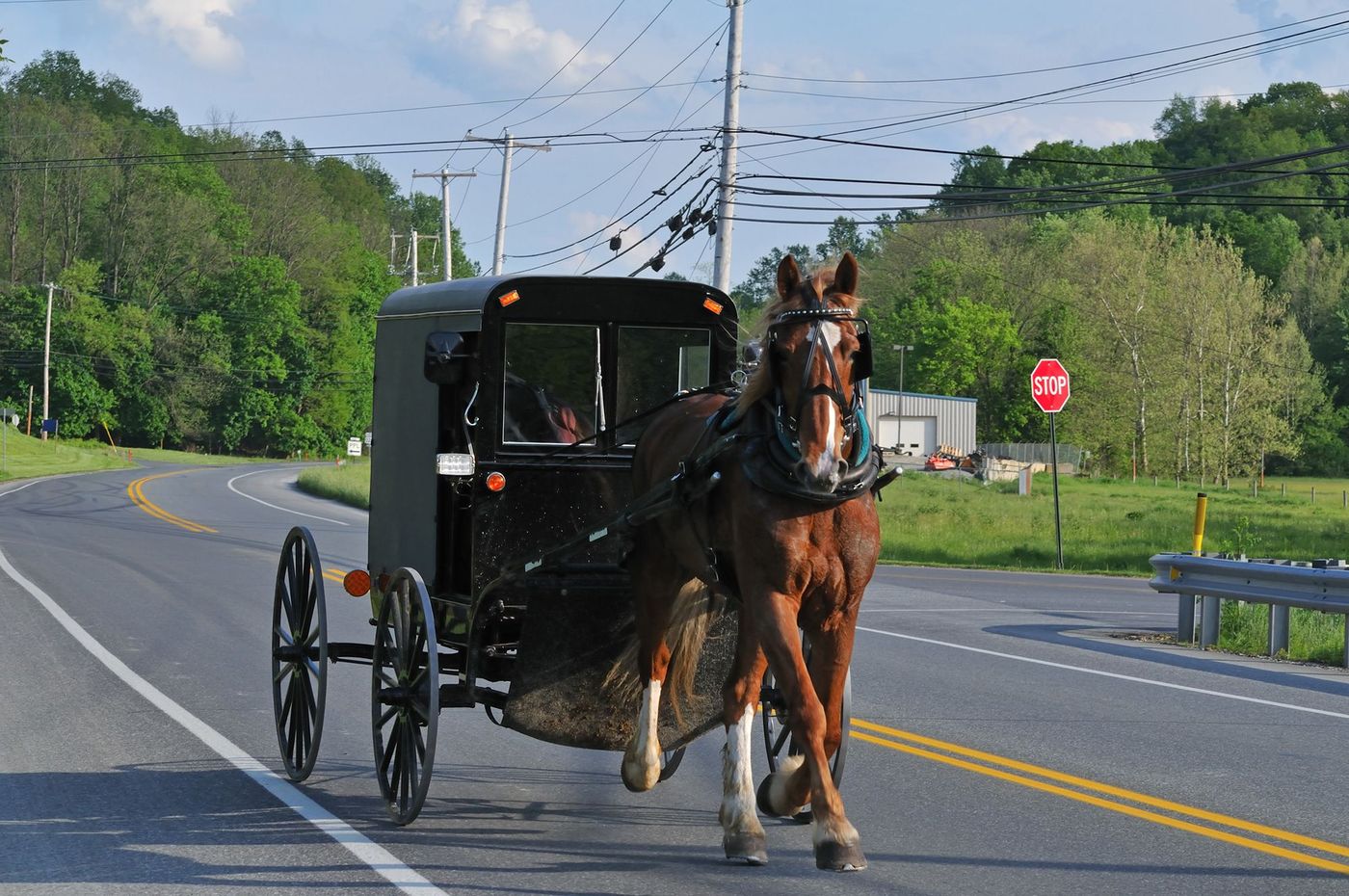 USA Amish Buggy