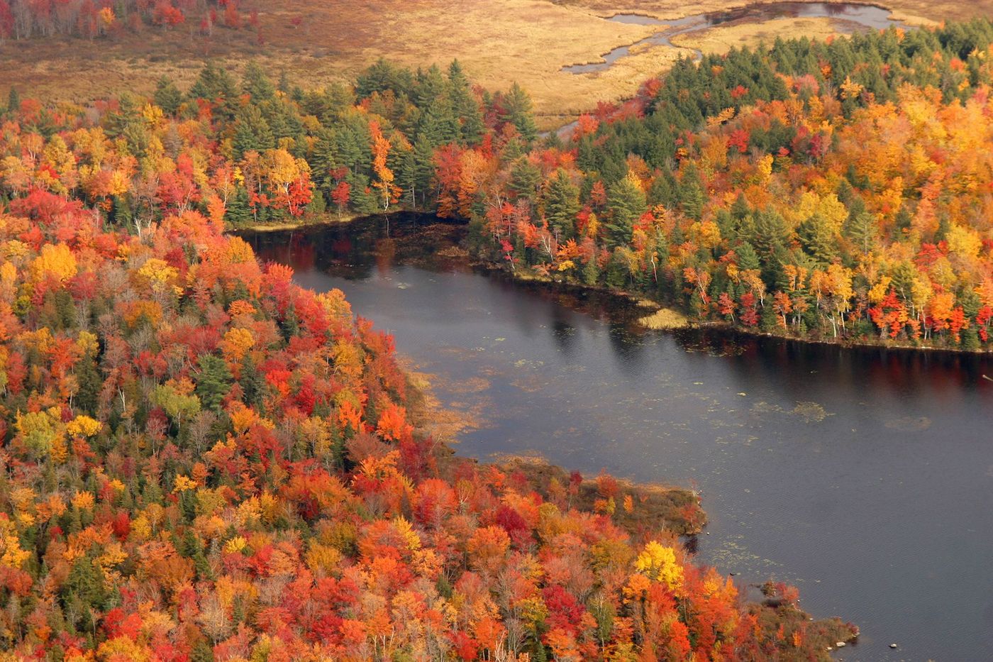 USA Nouvelle Angleterre Forêt