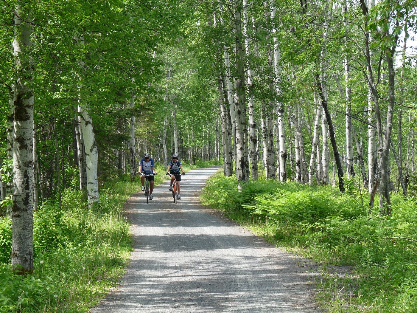 Vélo au parc national de la Pointe-Taillon