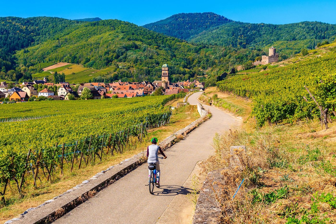 Vélo dans les vignes de Kaysersberg