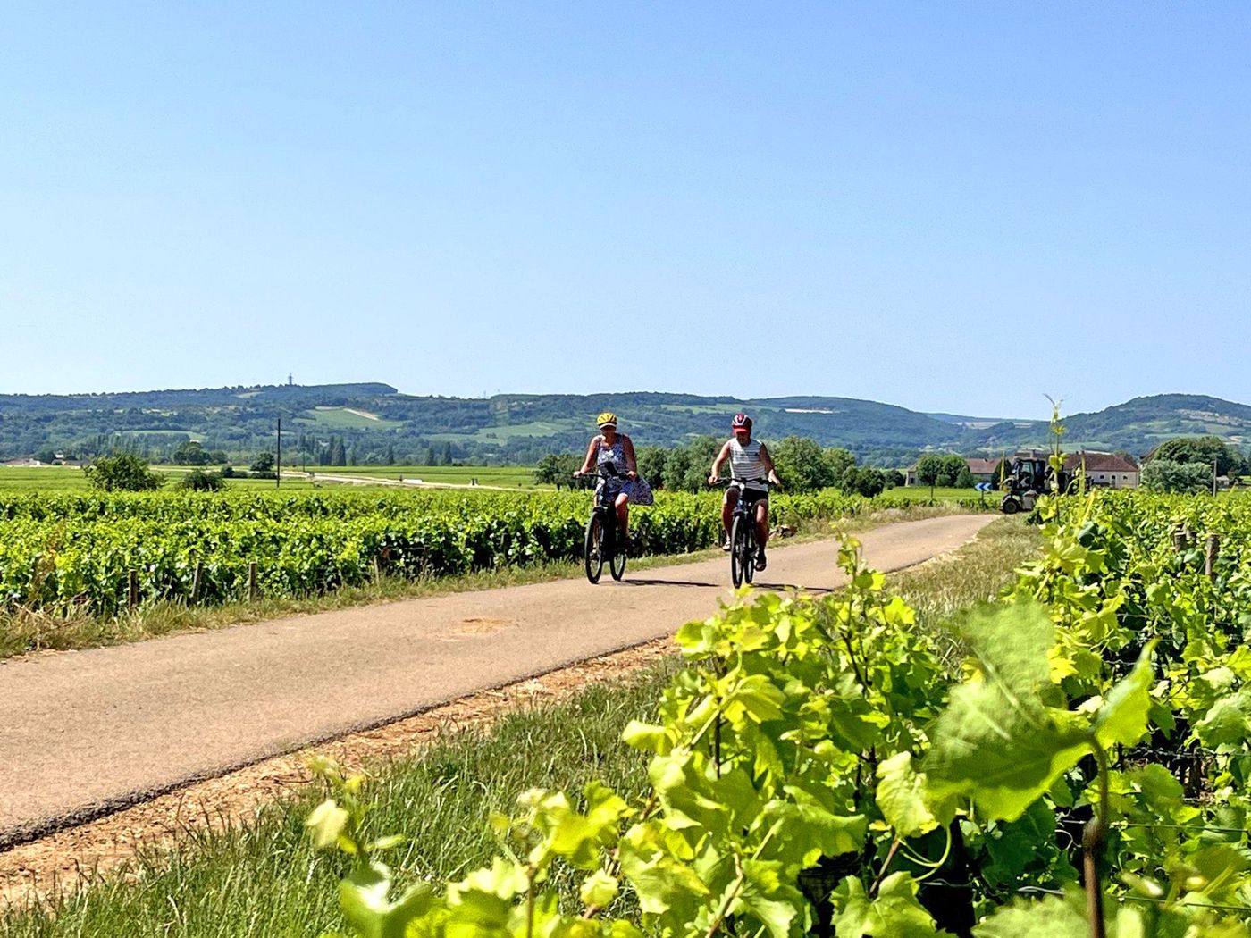 Vélo sur la Voie des Vignes