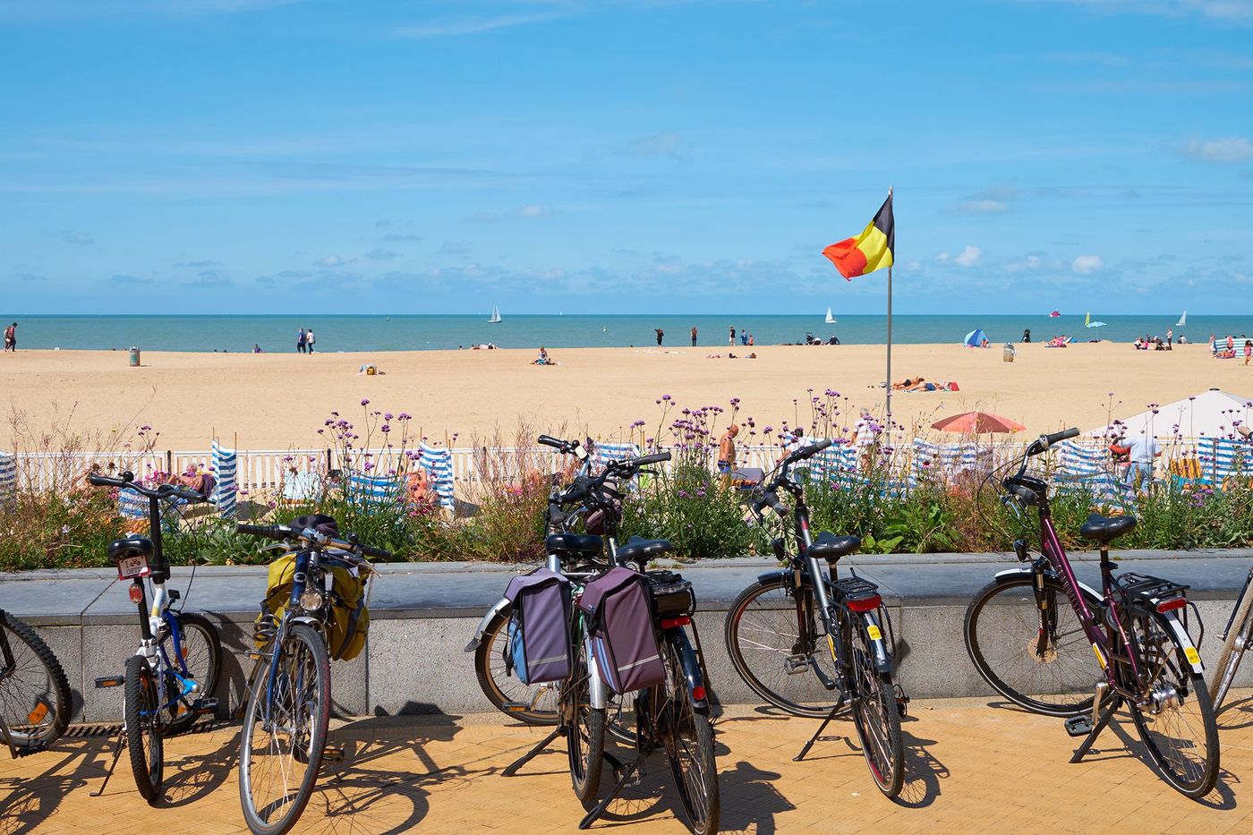 Vélos sur le littoral flamand