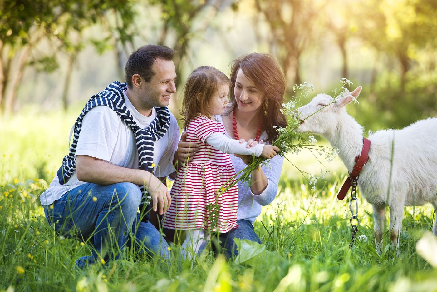 Vacances Ferme Famille