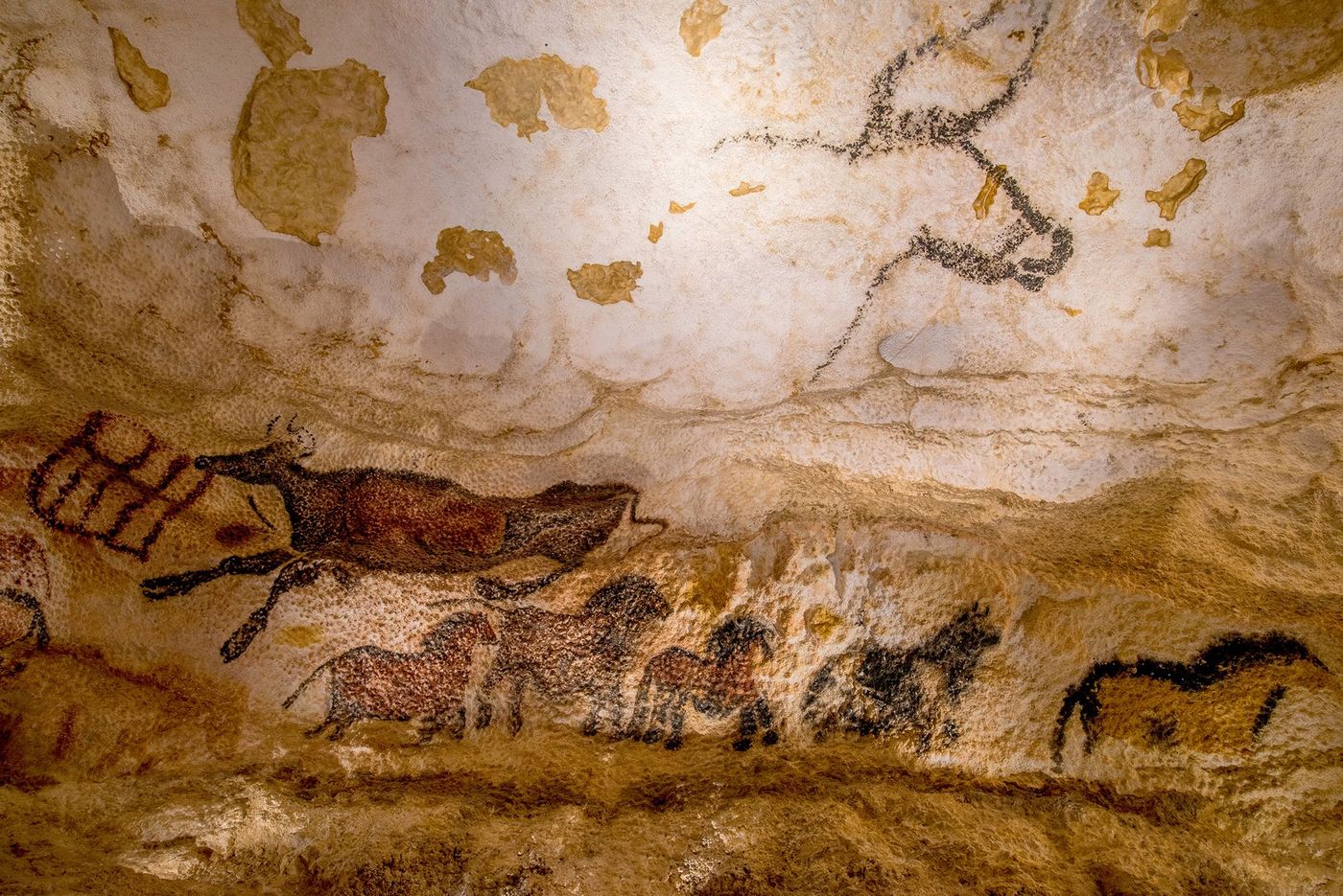 Lascaux II Vache qui saute