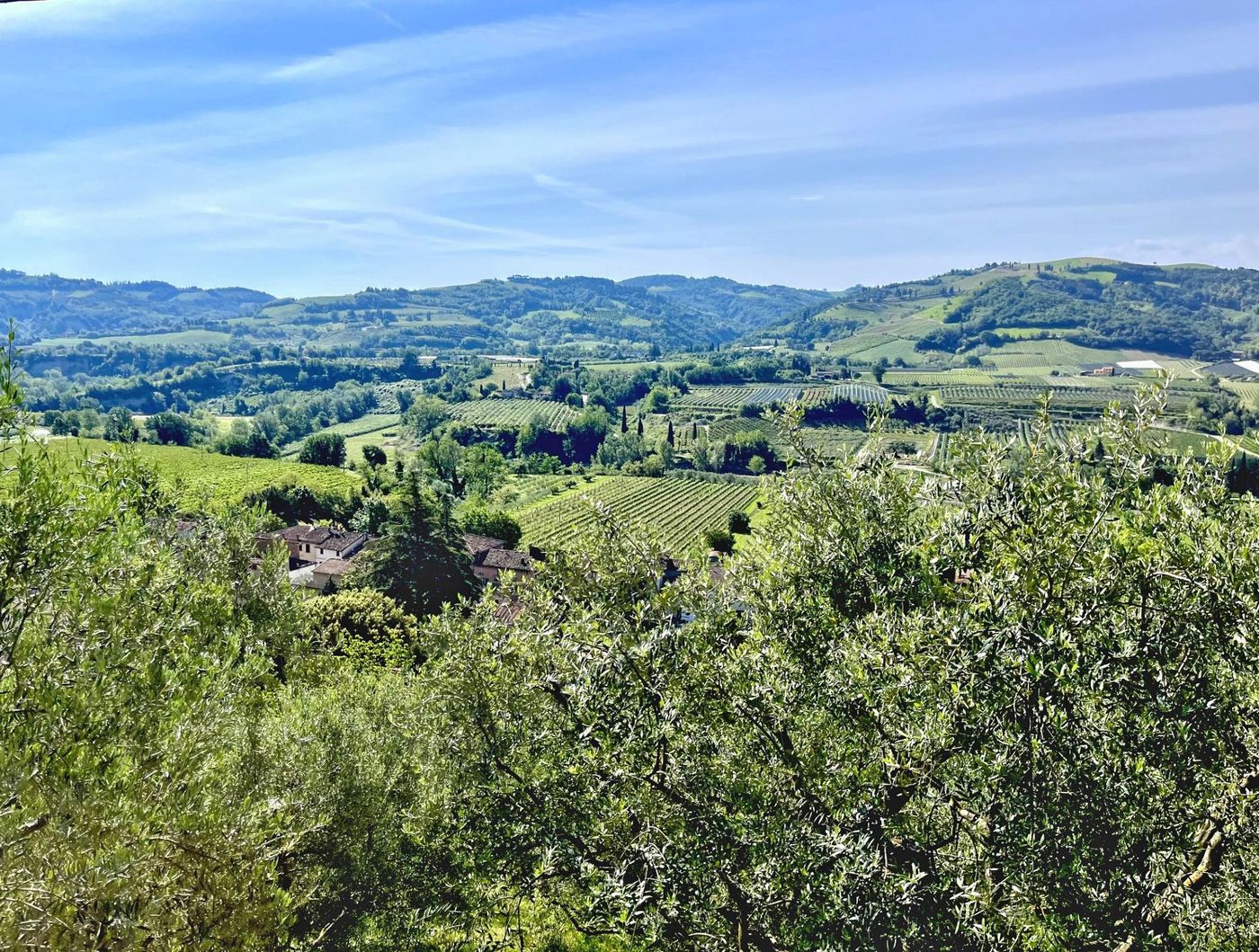 Vallée du Lamone - sentier de l’huile d’olive