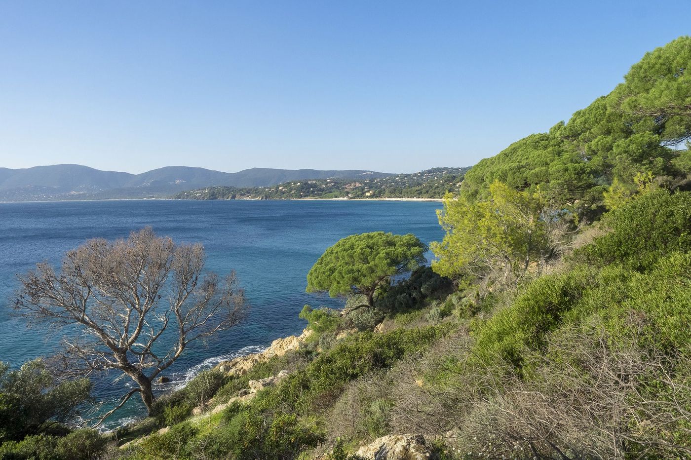 Var La côte vue du Cap Lardier