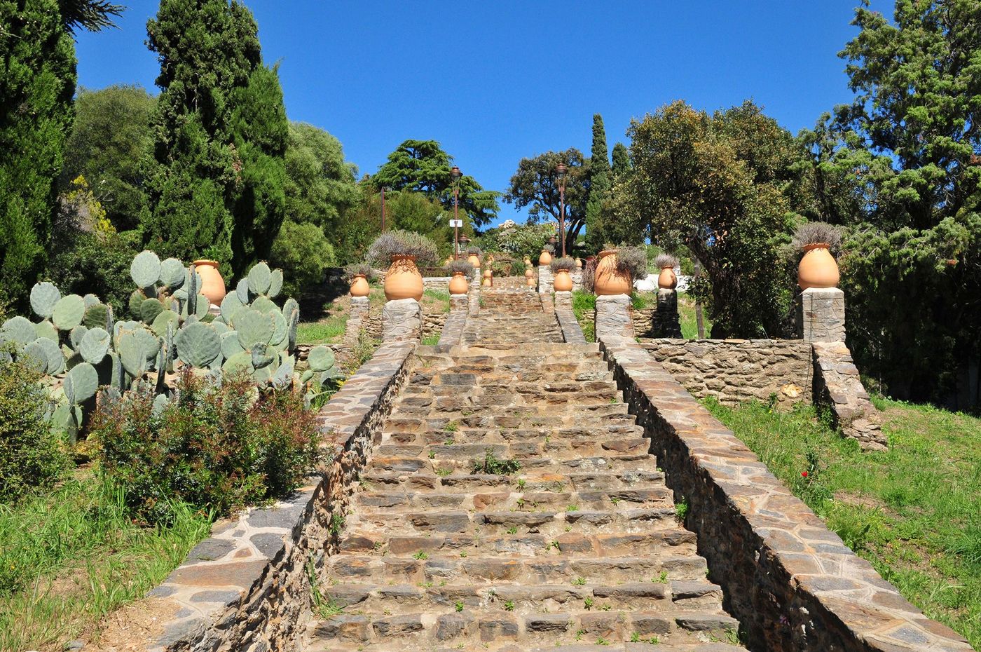Var Domaine du Rayol