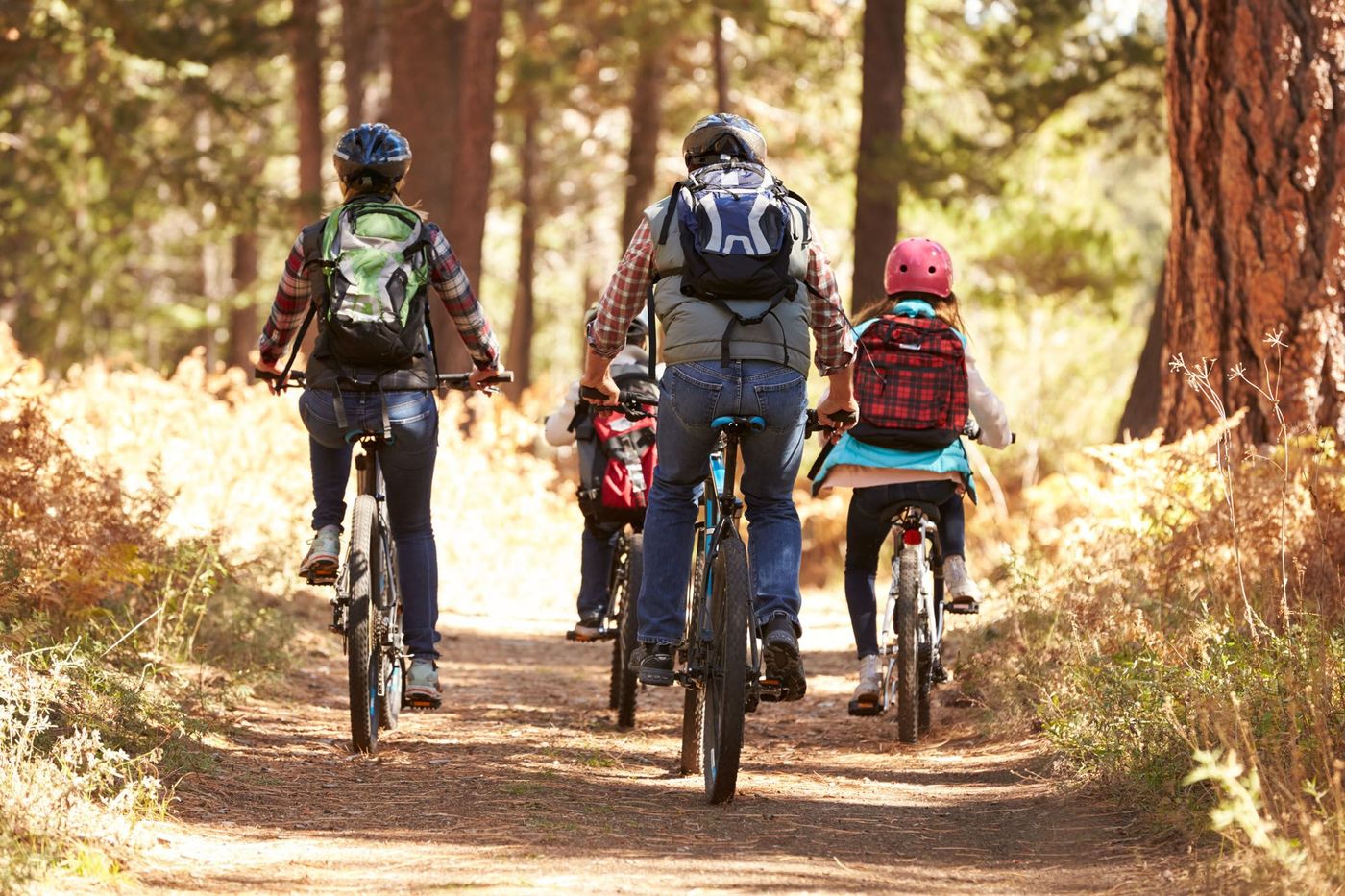 Vélo Famille Forêt