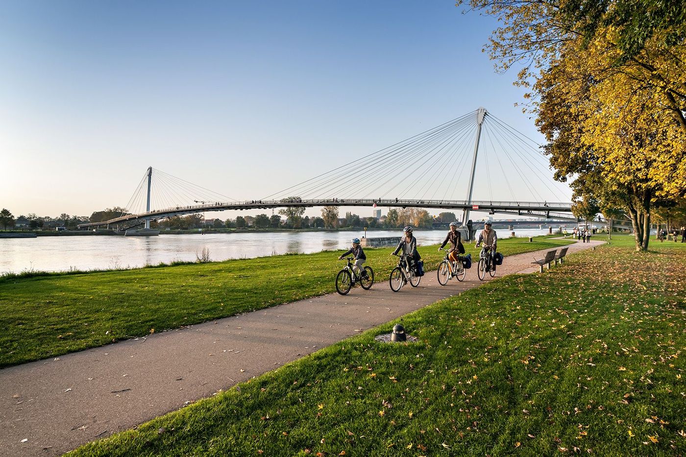 Vélo le long du Rhin