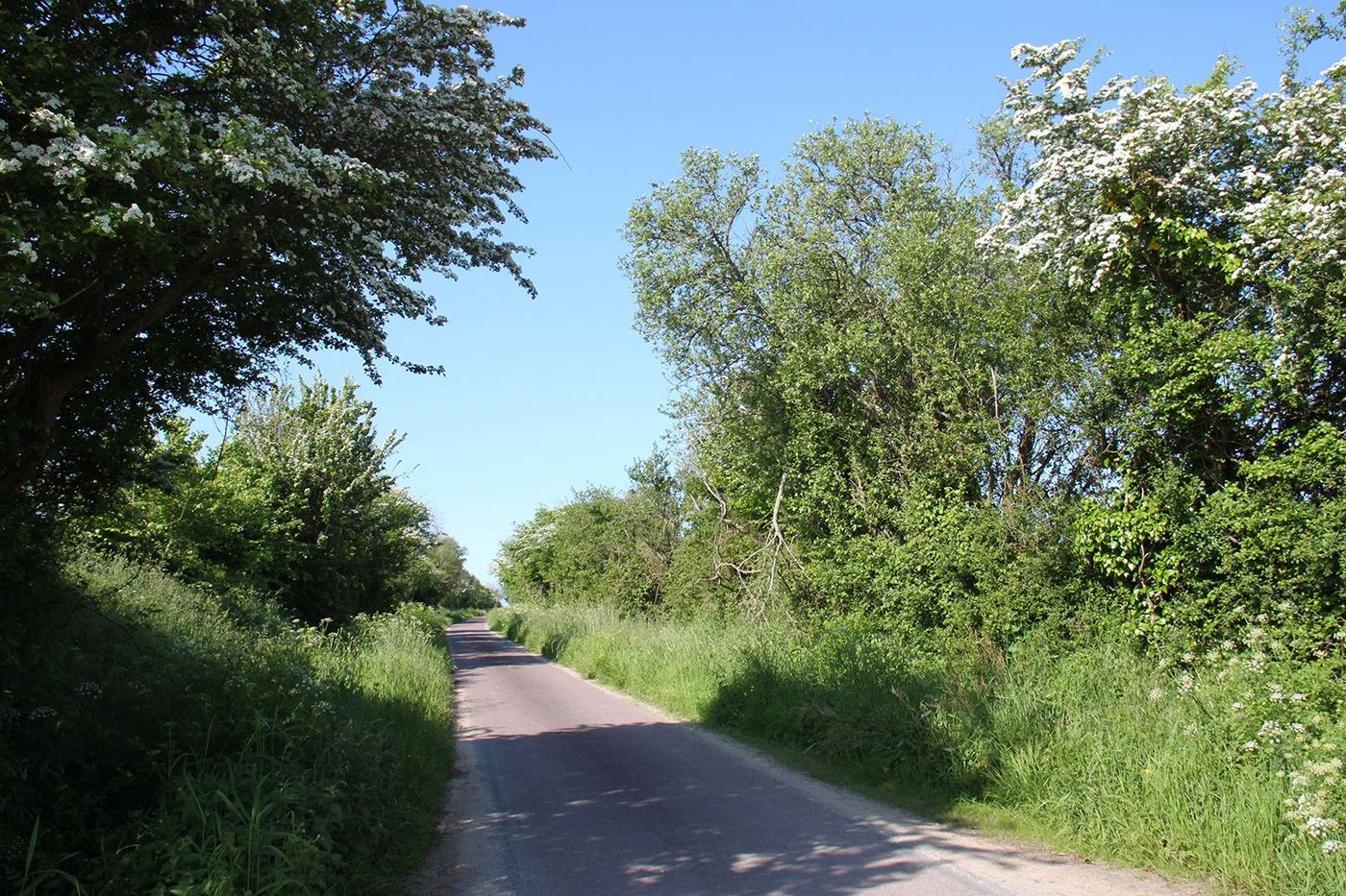 France Manche Cotentin Piste cyclable