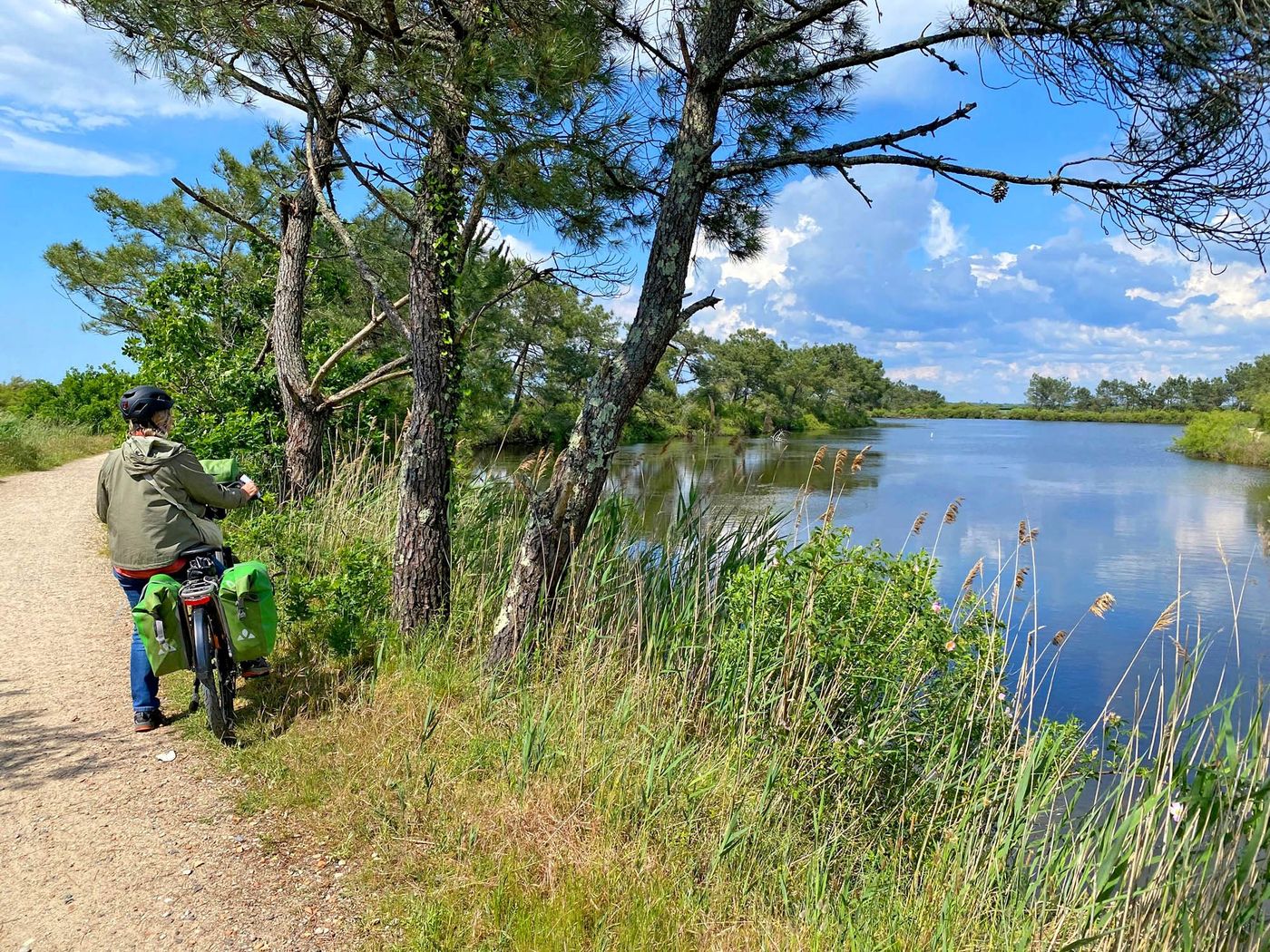 Vélo dans la réserve naturelle des Prés‑Salés d’Arès‑Lège