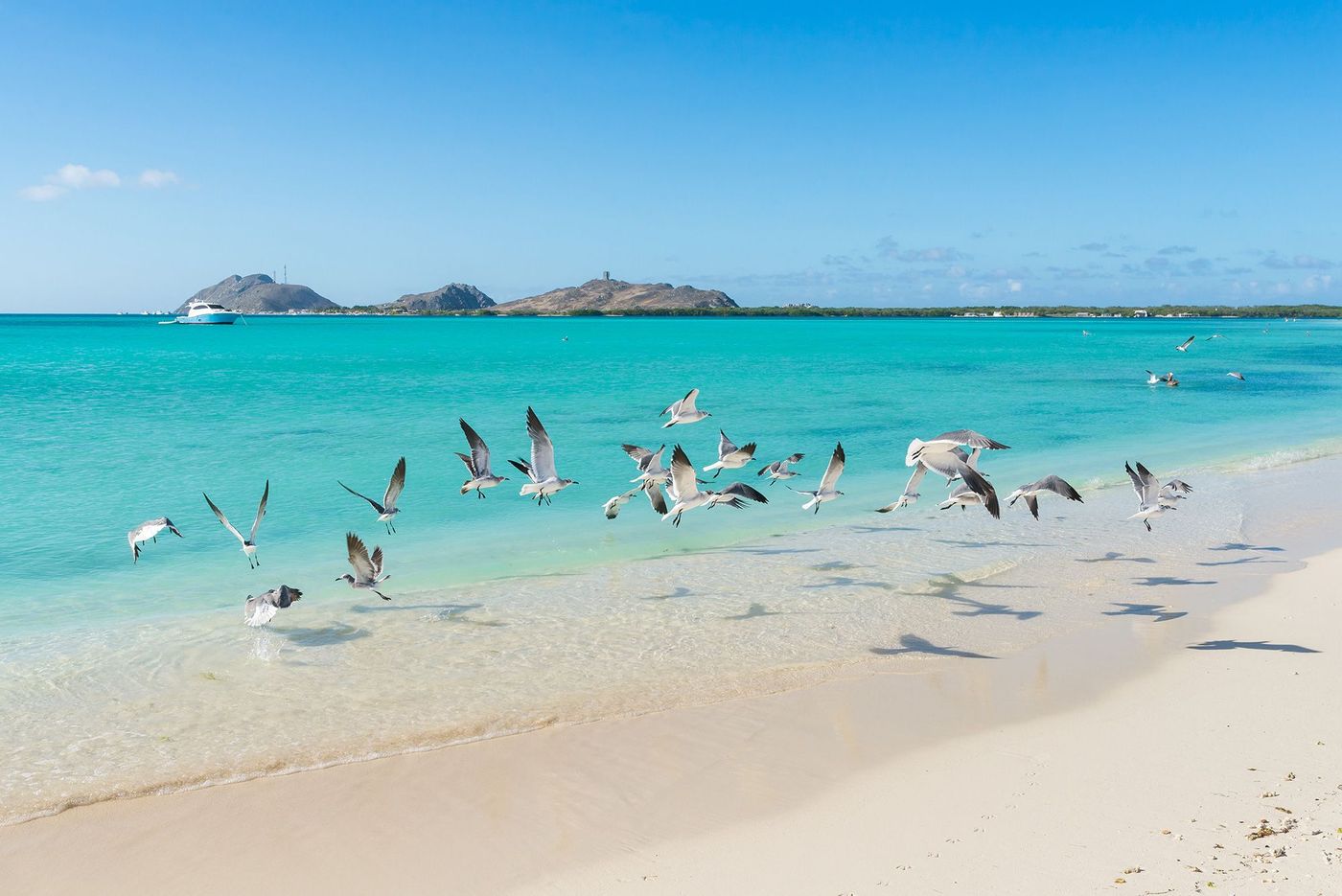 Venezuela Los Roques Francisqui island