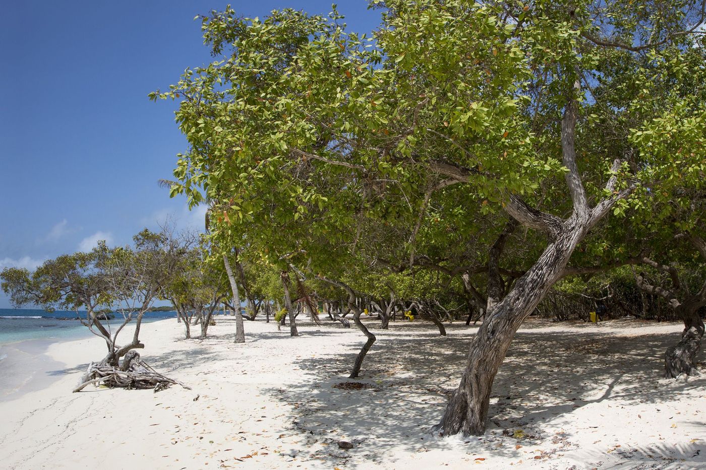 Venezuela Morrocoy National Park