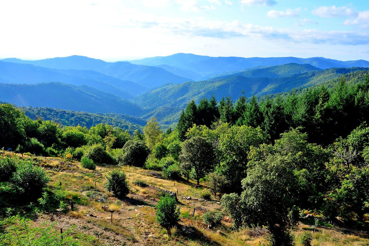 Ventalon-en-Cévennes
