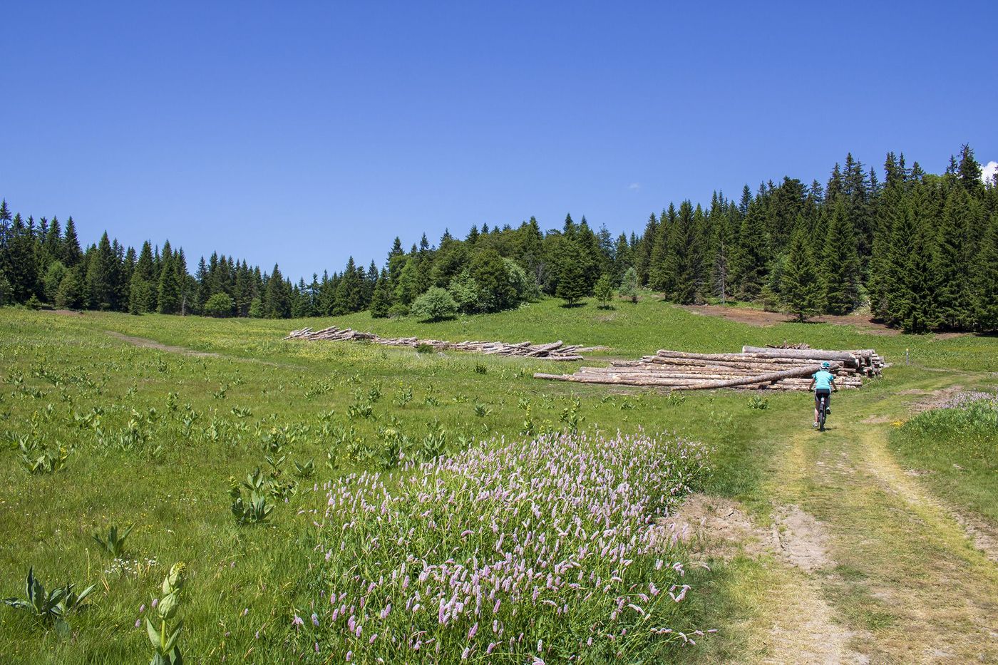Vercors Plateau de Château de Julien Vélo
