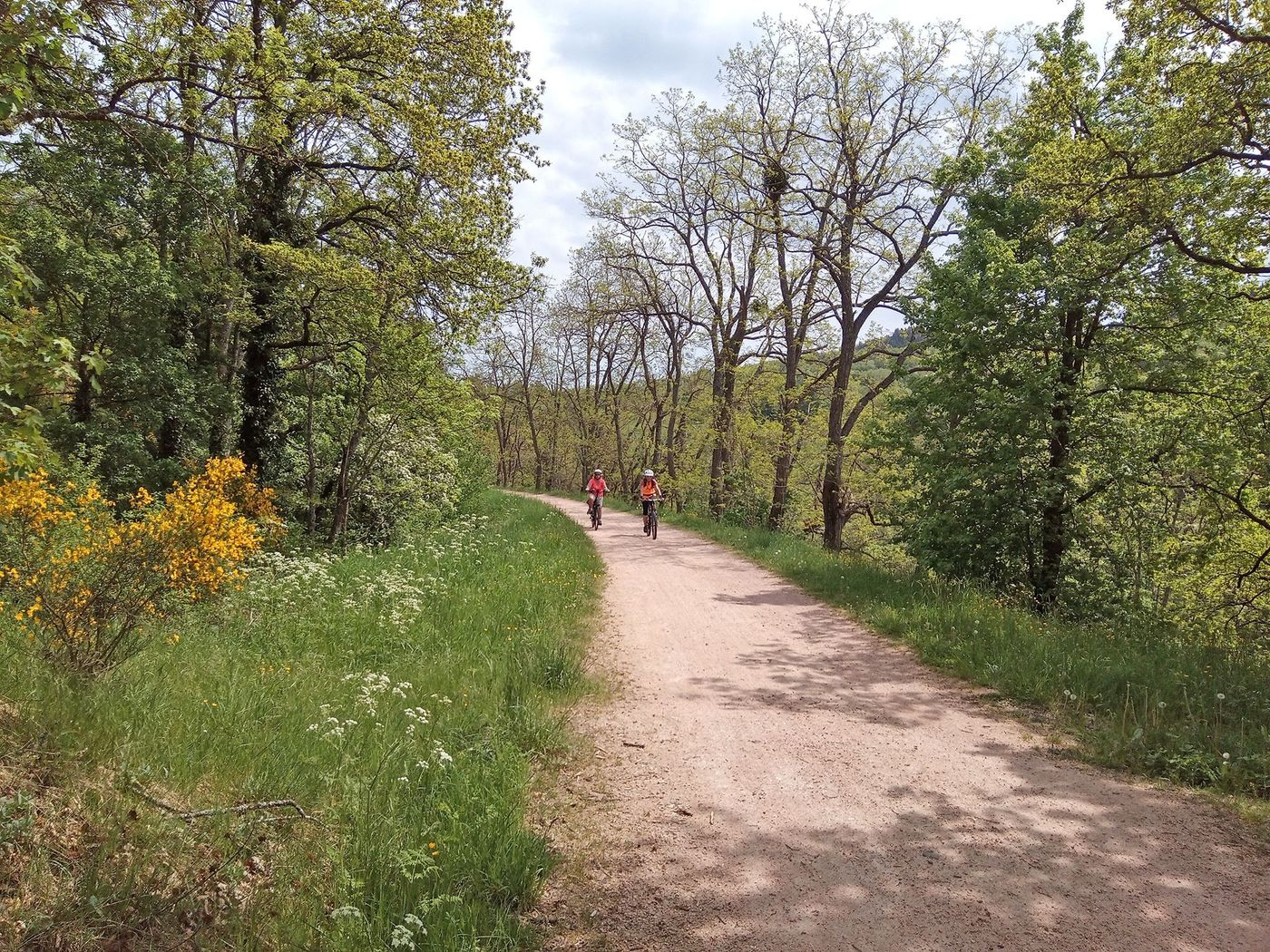 Via Fluvia