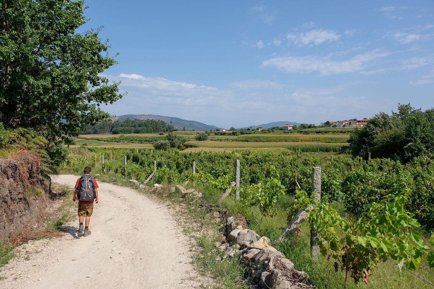 Via Lusitania