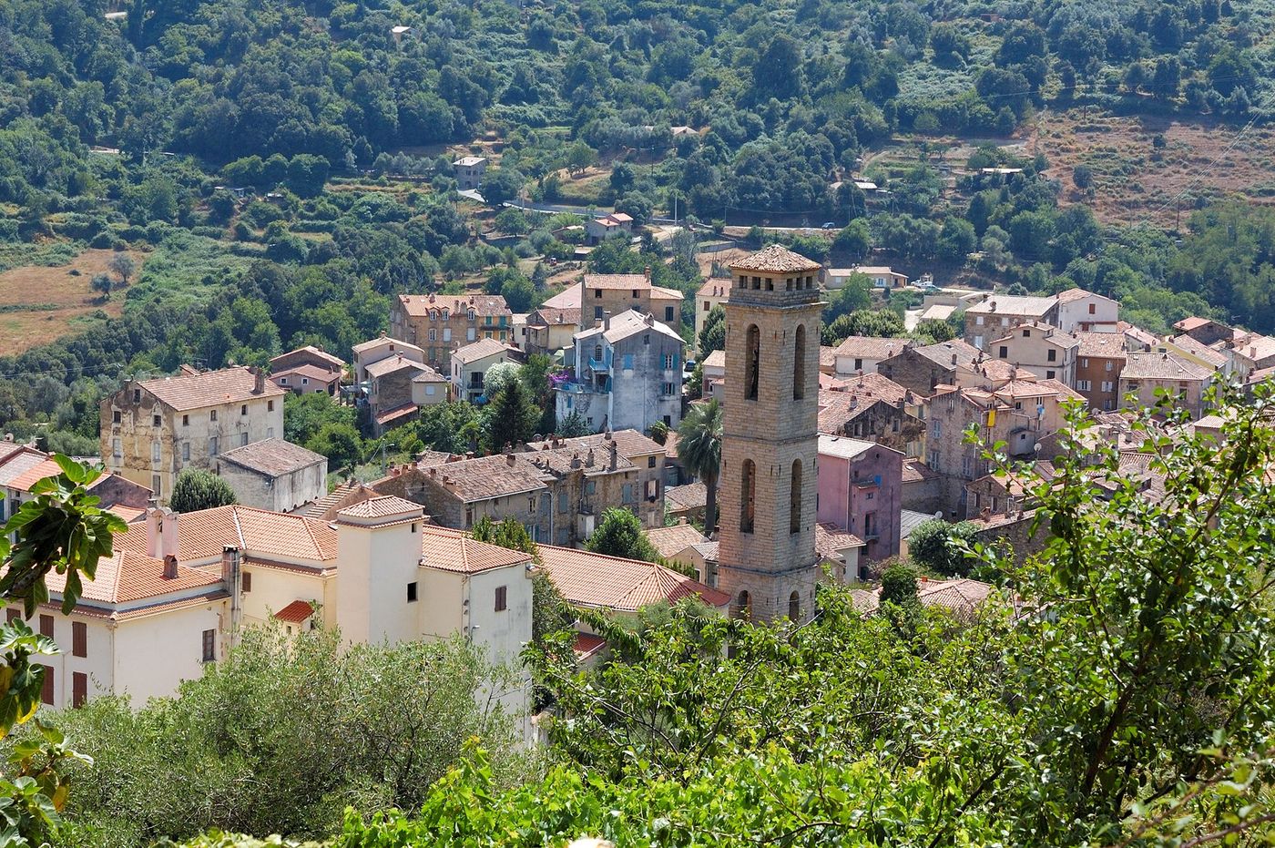 Vico, Corse