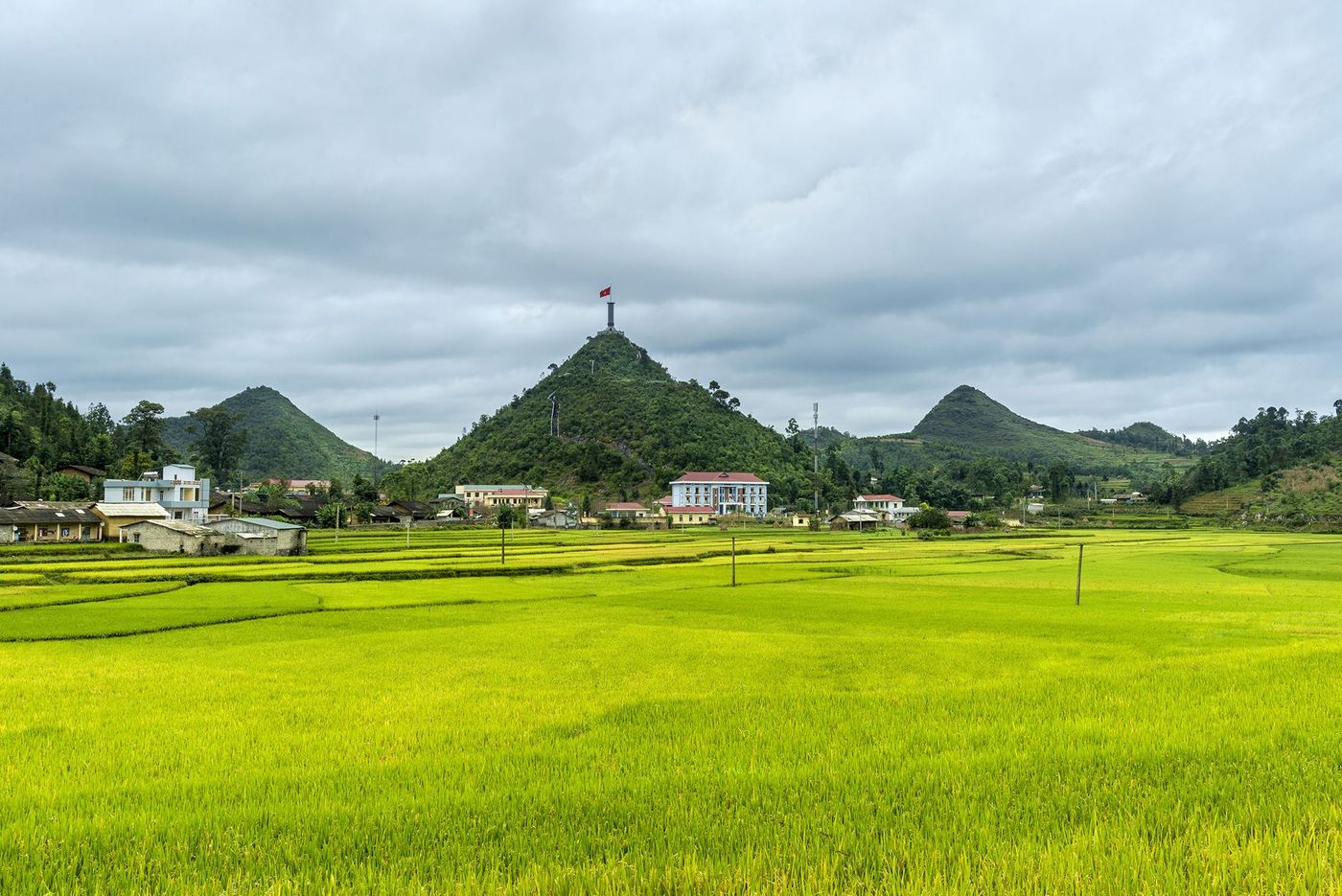 Vietnam Lung Cu